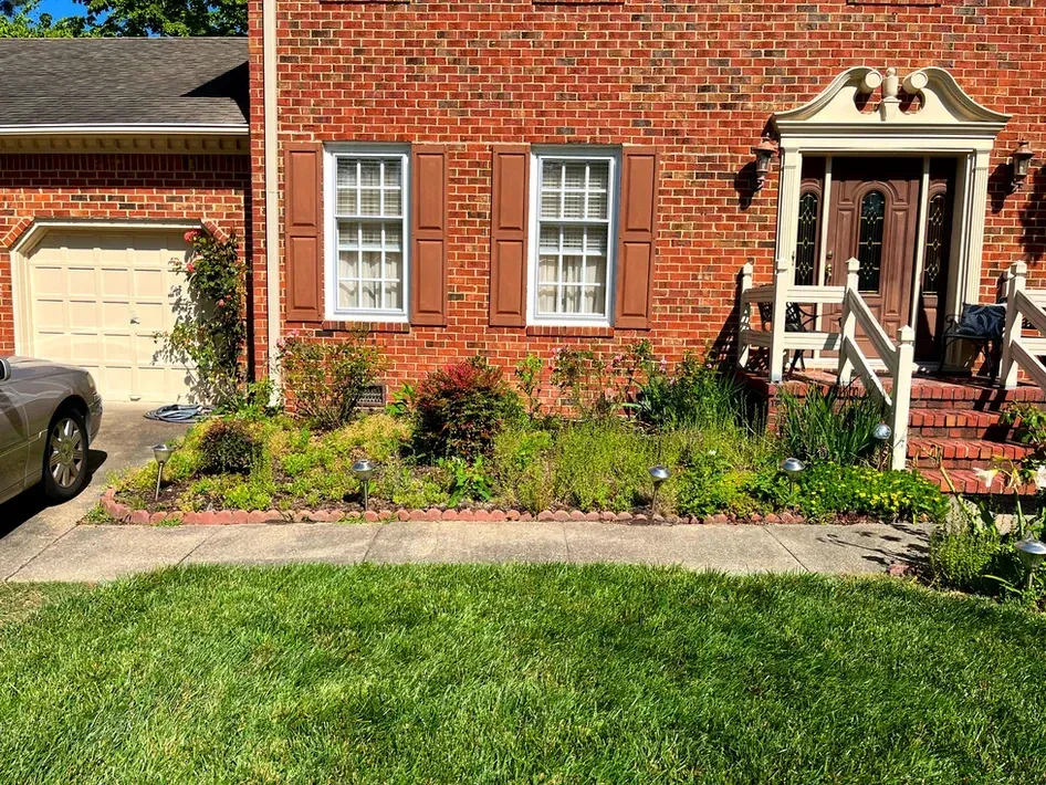 Property Clean Ups