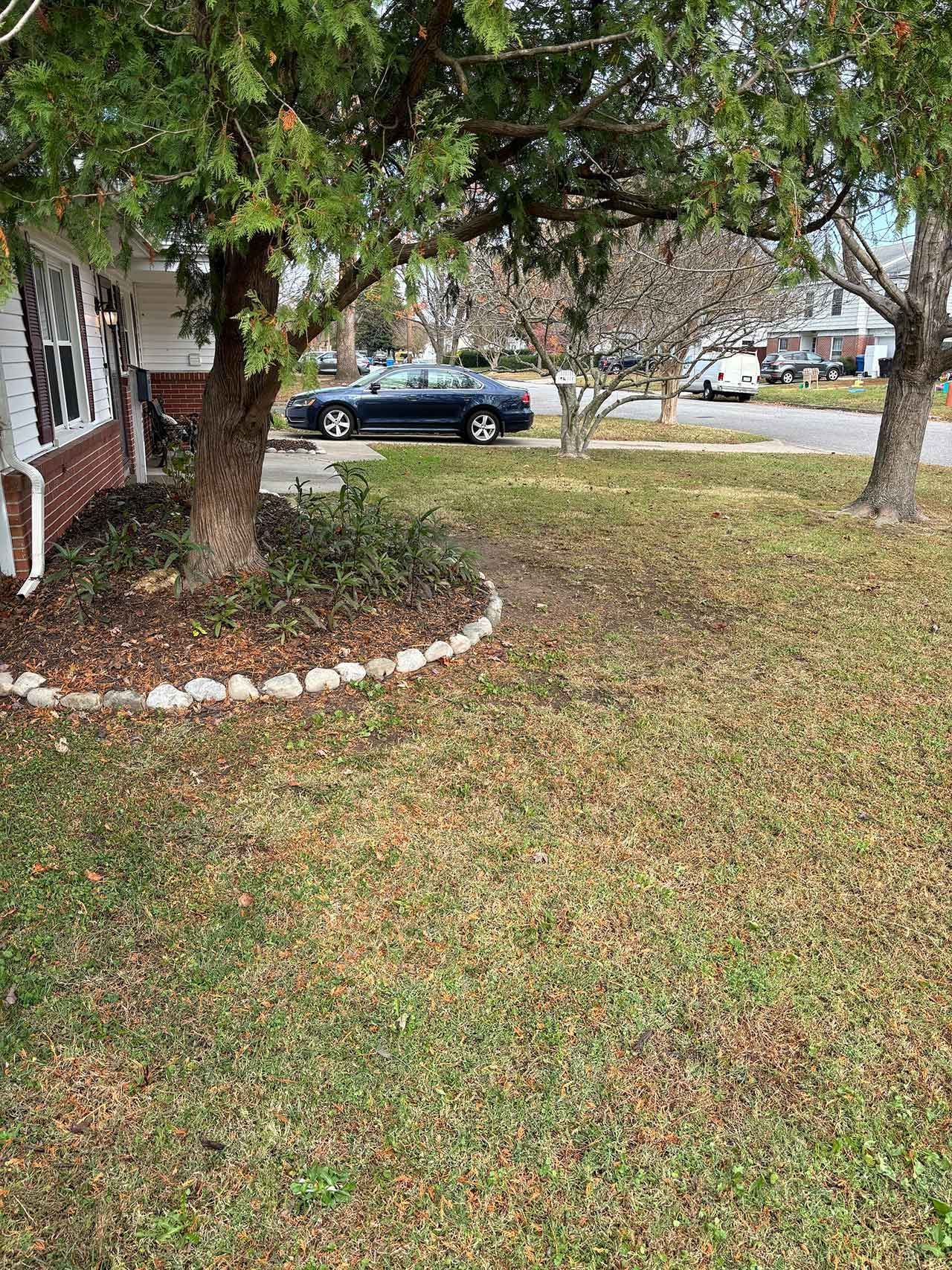 Property Clean Ups