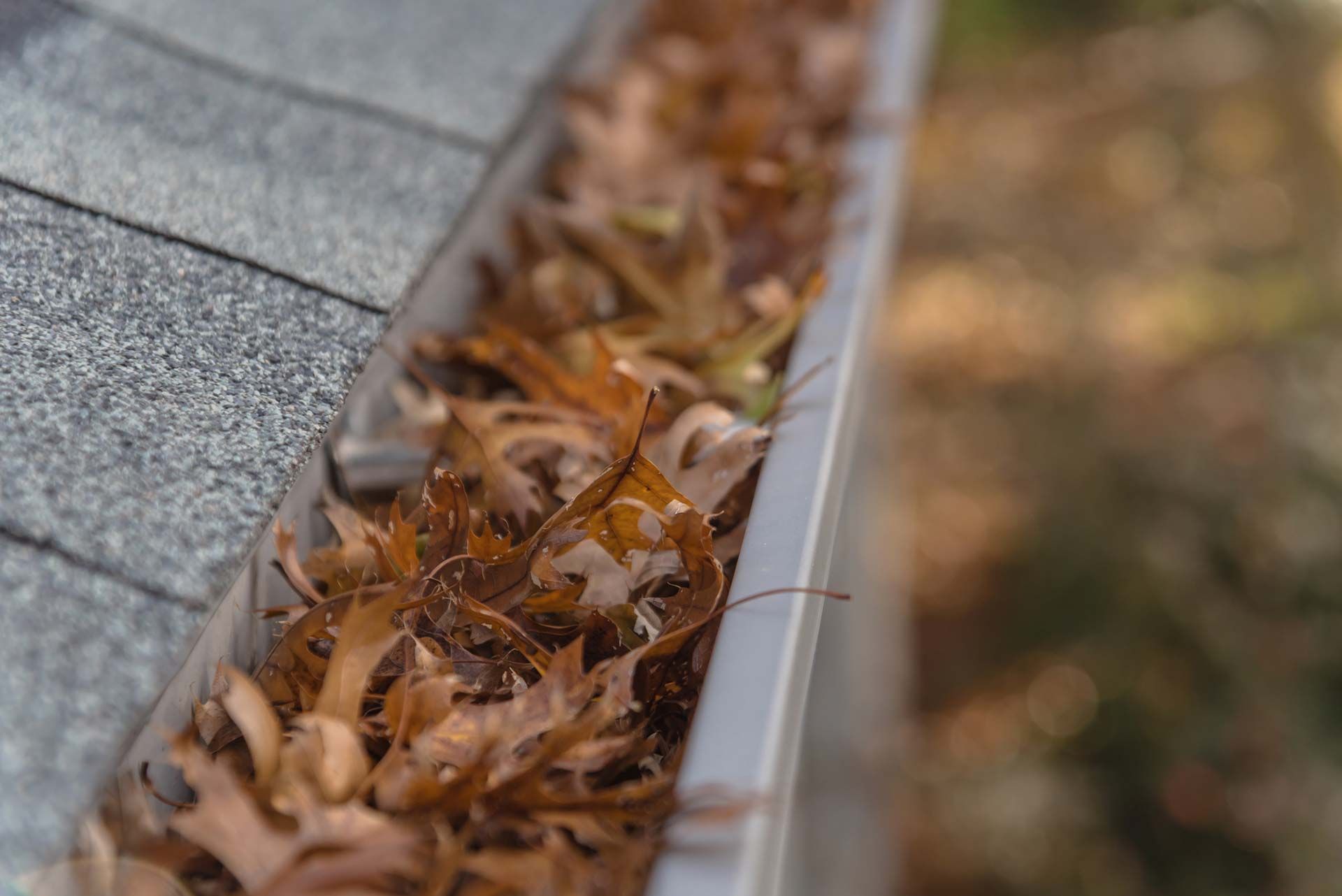 Commercial Gutter & Roof Clean Up