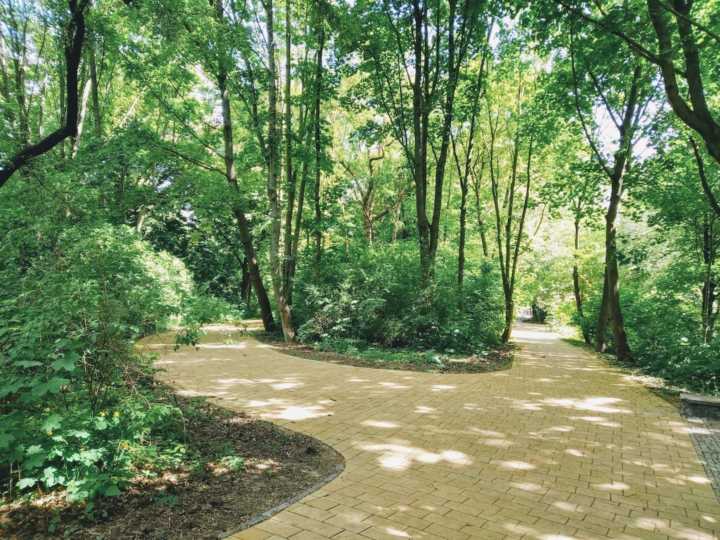 A path in the middle of a park in Berlin surrounded by trees.