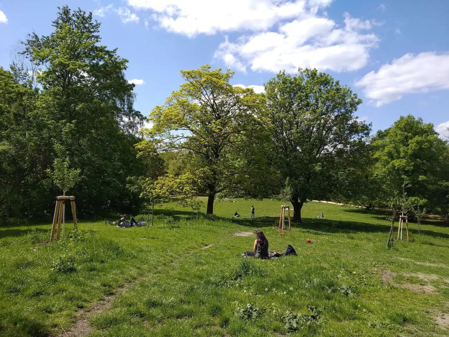 A person is sitting in the grass in a park in Berlin surrounded by trees.