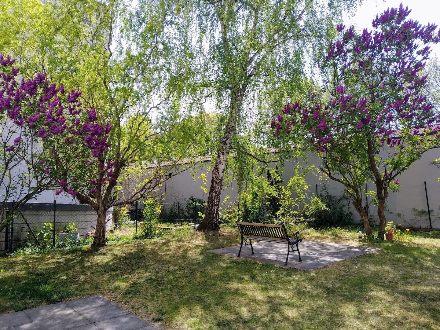 A garden with purple flowers and trees and a bench just outside of our holiday apartment in Berlin.