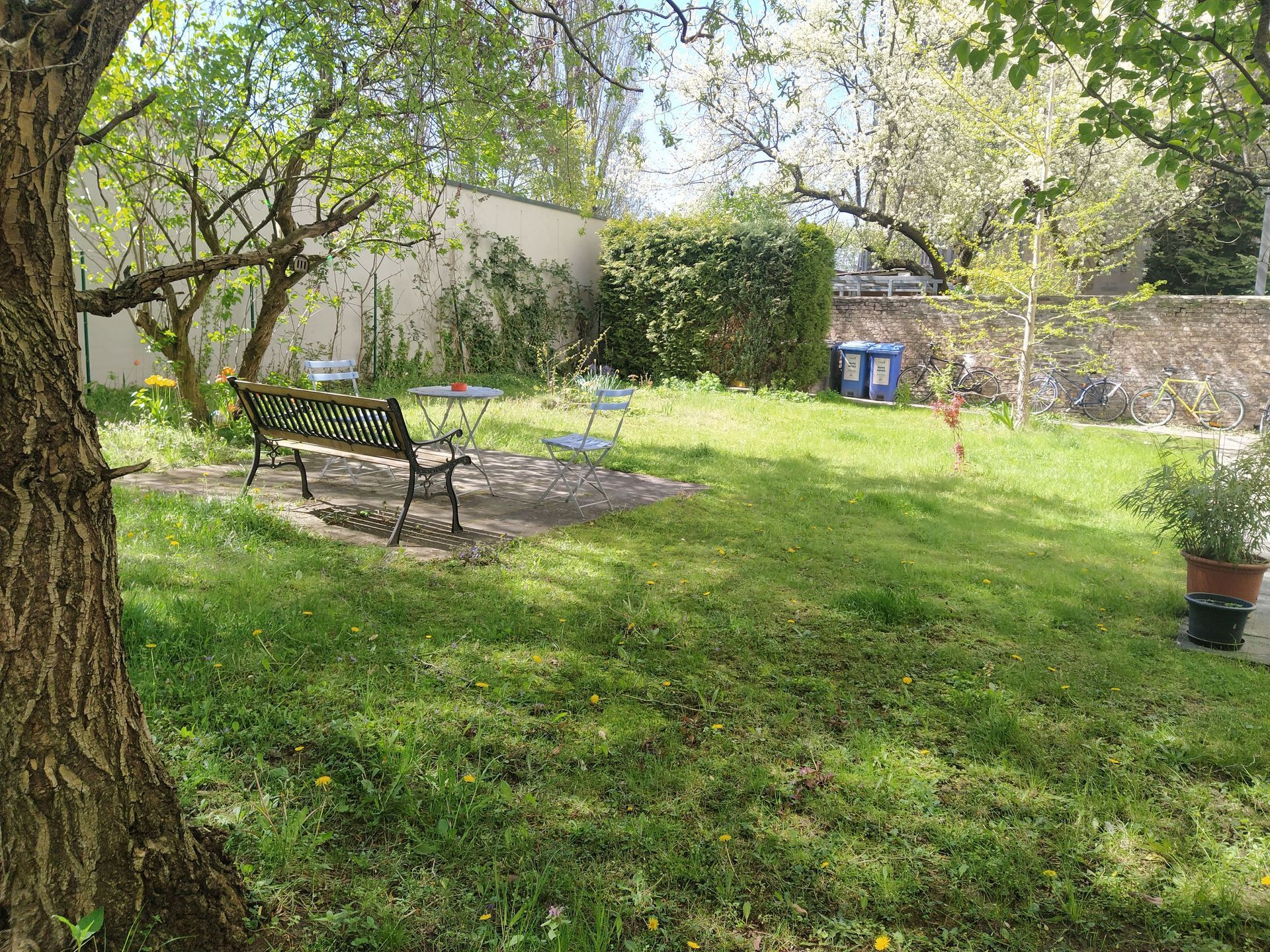A park bench is sitting outside of our holiday rental in Berlin in the middle of a lush green yard.