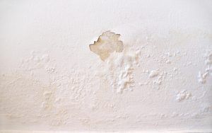 wet wall white