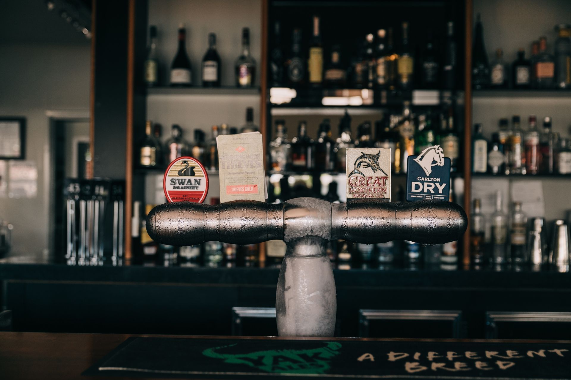 Professional for Draft Beer System Installation