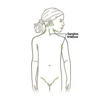 DR. PEDRO AGUIRRE RAMÍREZ - Ganglios