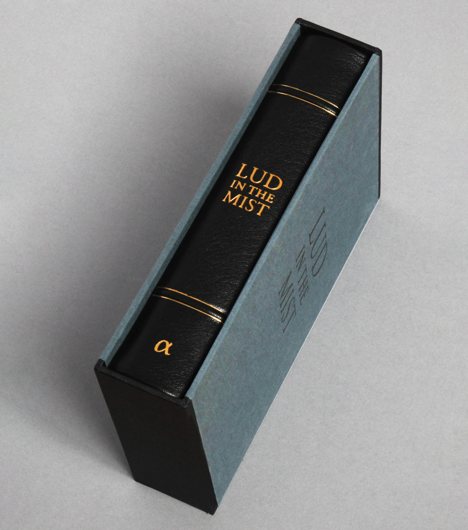 Lud-in-the-Mist Numbered Edition foil blocked spine