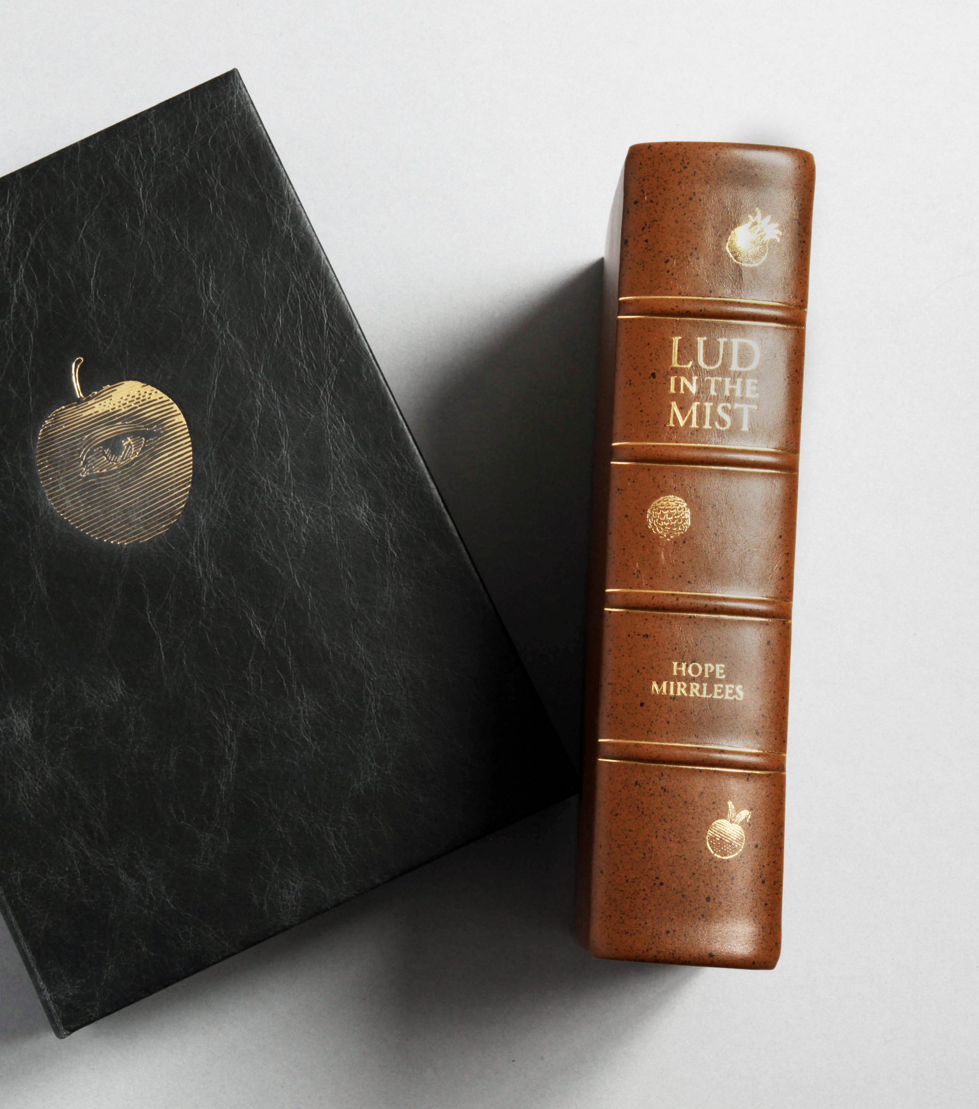 Lud-in-the-Mist Roman Edition foil blocked spine