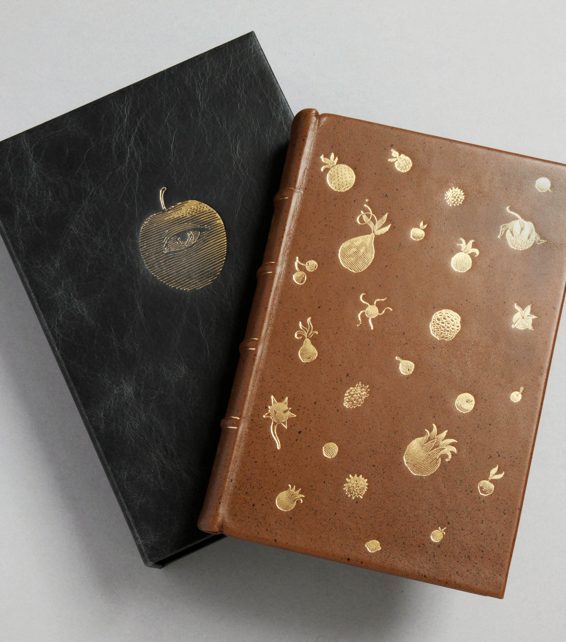 Lud-in-the-Mist Roman Edition foil-blocked front board