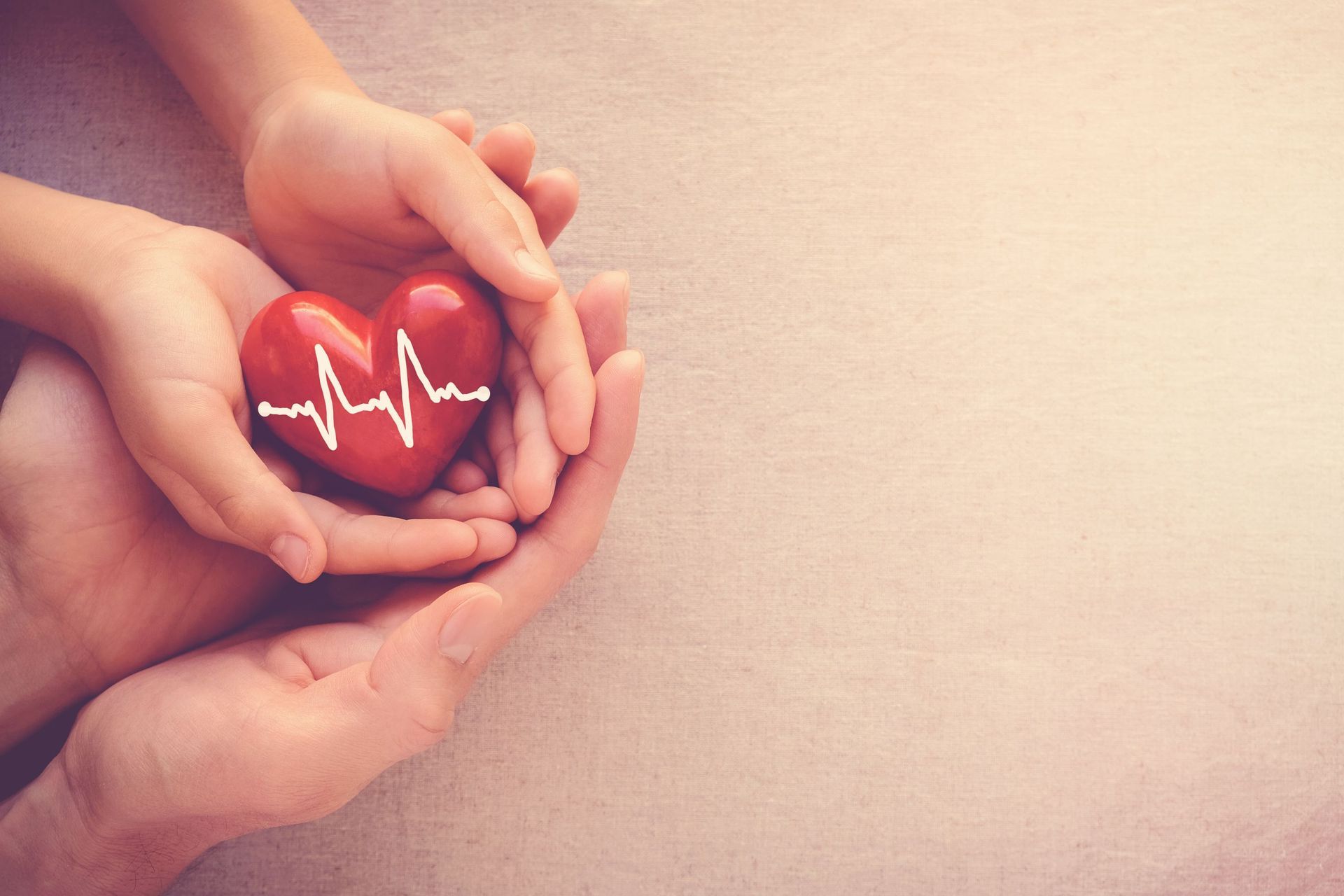 adult child hands holding red heart