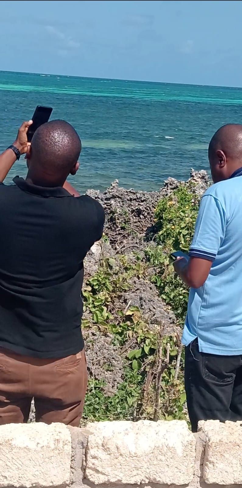 Jacaranda–Mayungu Coastal Plots