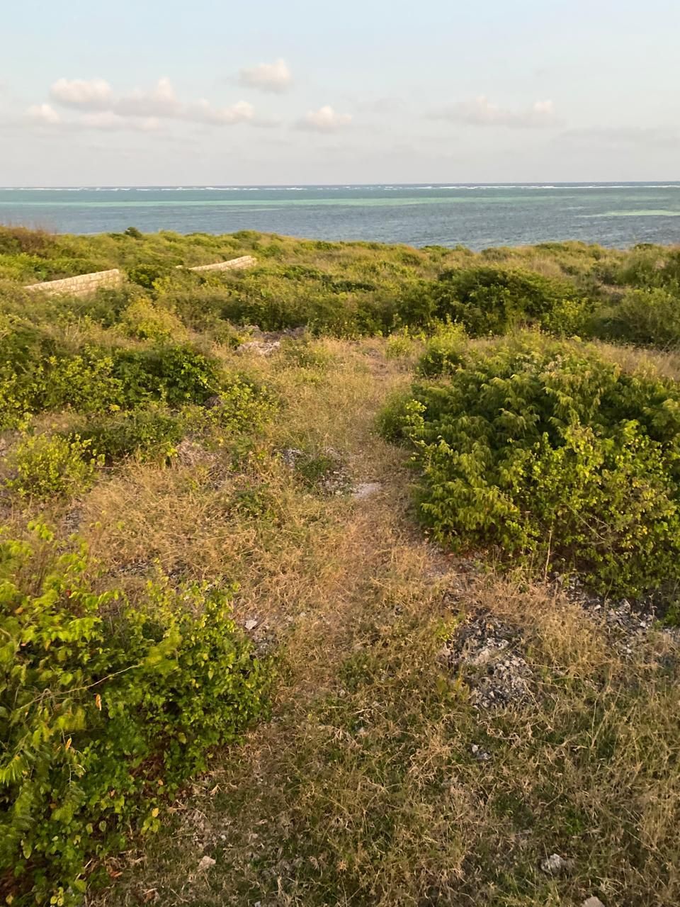 Jacaranda–Mayungu Coastal Plots