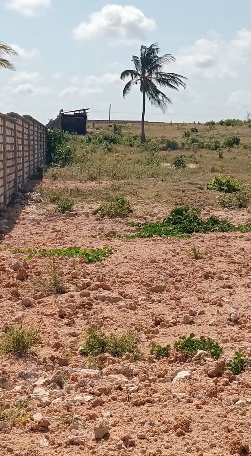 Jacaranda–Mayungu Coastal Plots