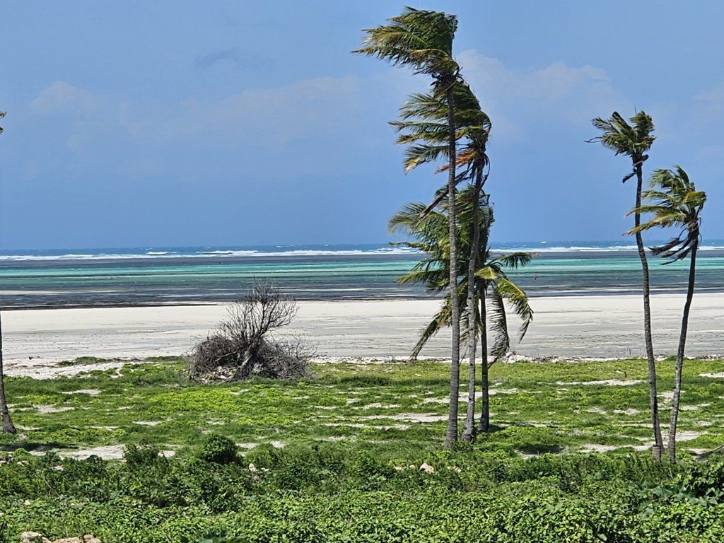 Watamu Bay Beach — 3-Acre Coastal Plot