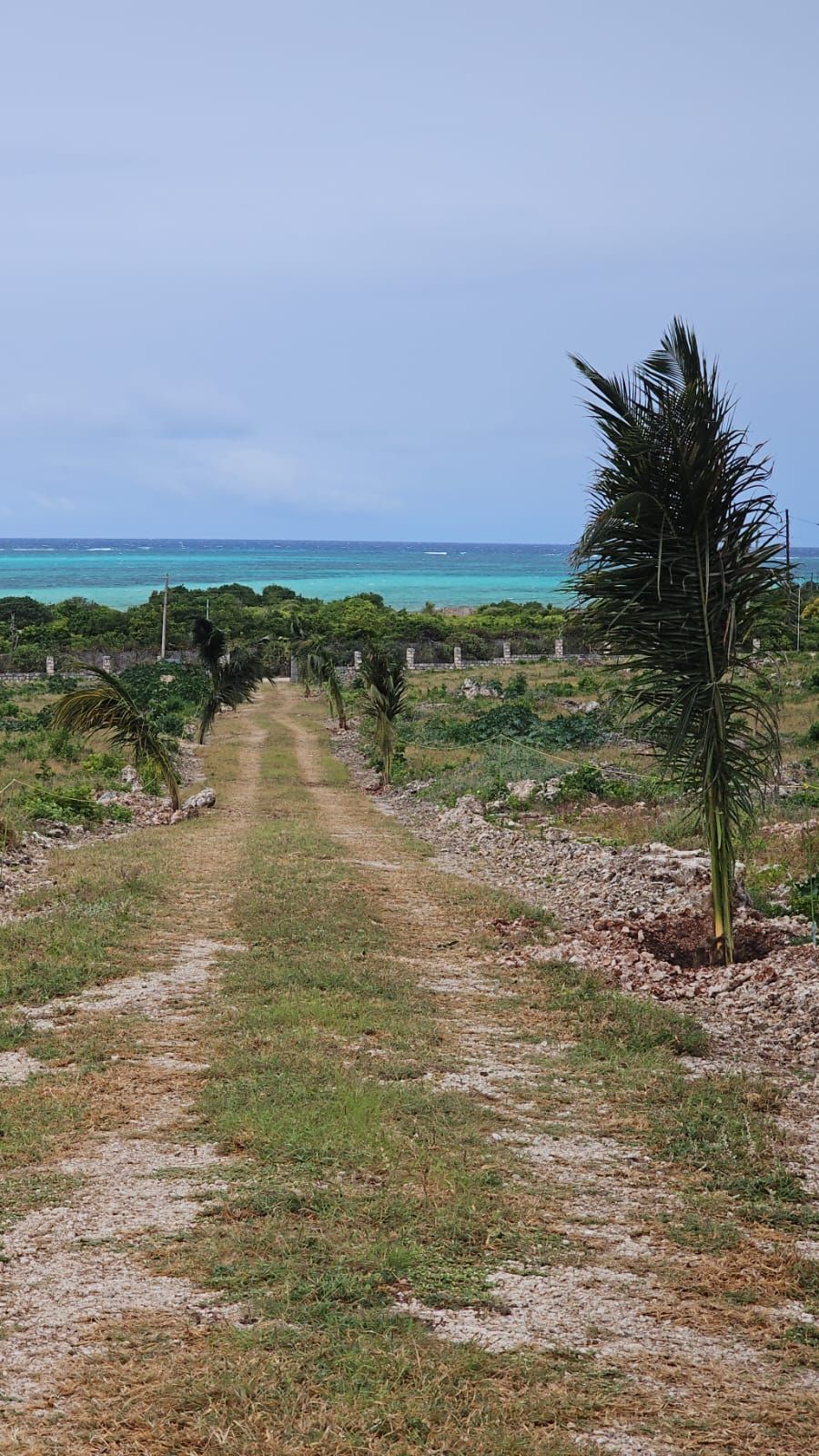 Watamu Bay Beach — 3-Acre Coastal Plot