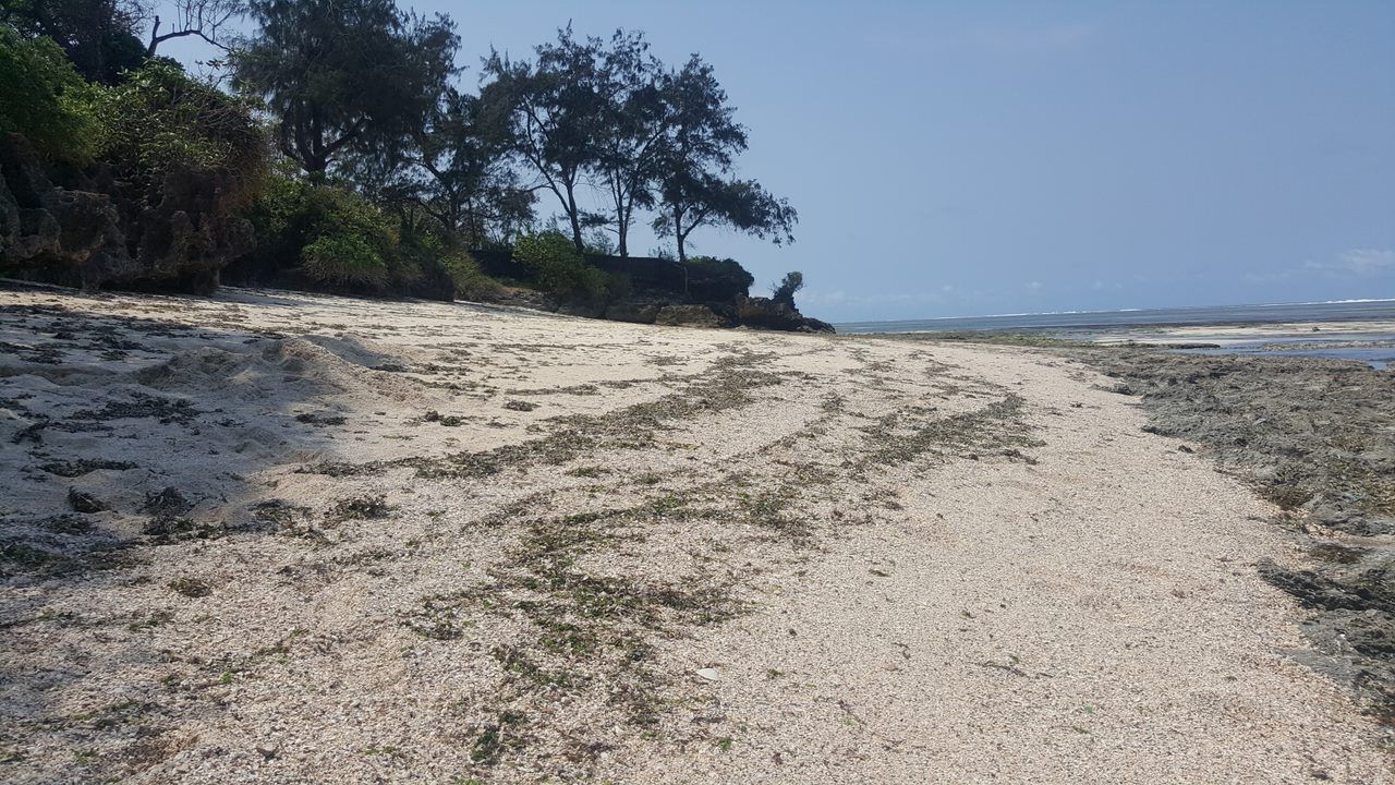 Vipingo Coastal Land