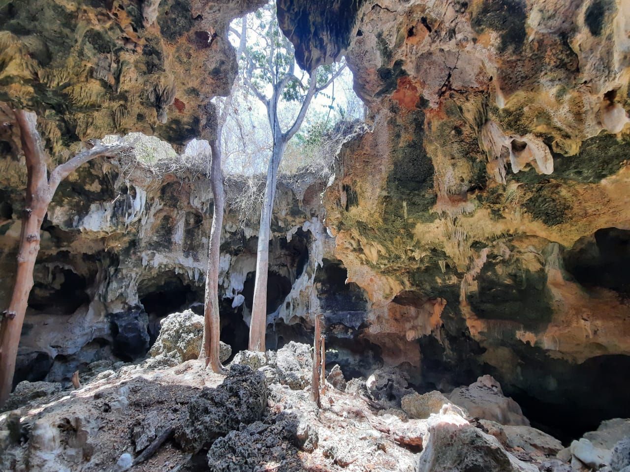 Vipingo Coastal Land