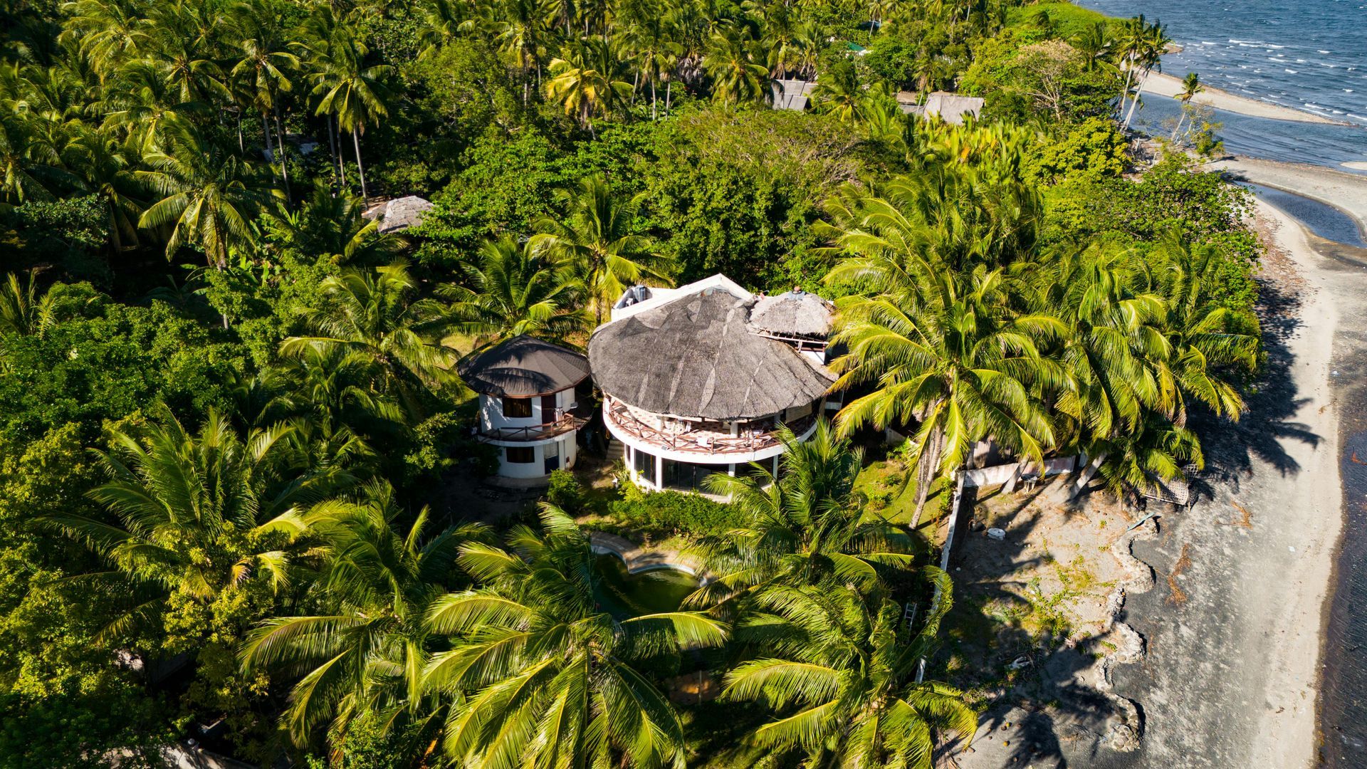 Tropical house with thatched roof surrounded by lush green trees near a beach.