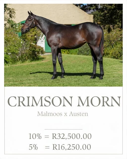 Malmoos filly up for grabs