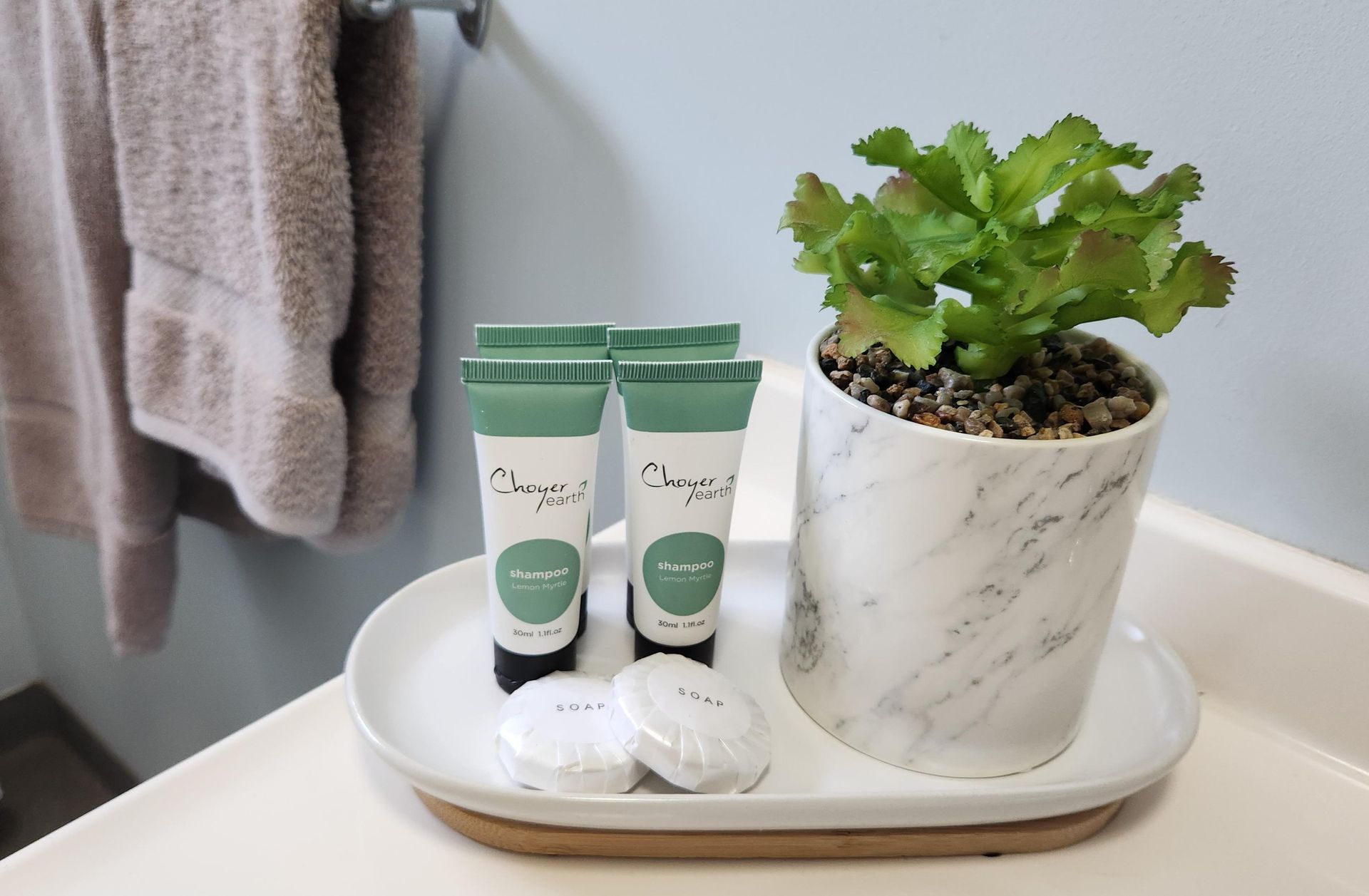 Bathroom tray with green skincare tubes, wrapped soap, and a small potted plant on a white marble dish