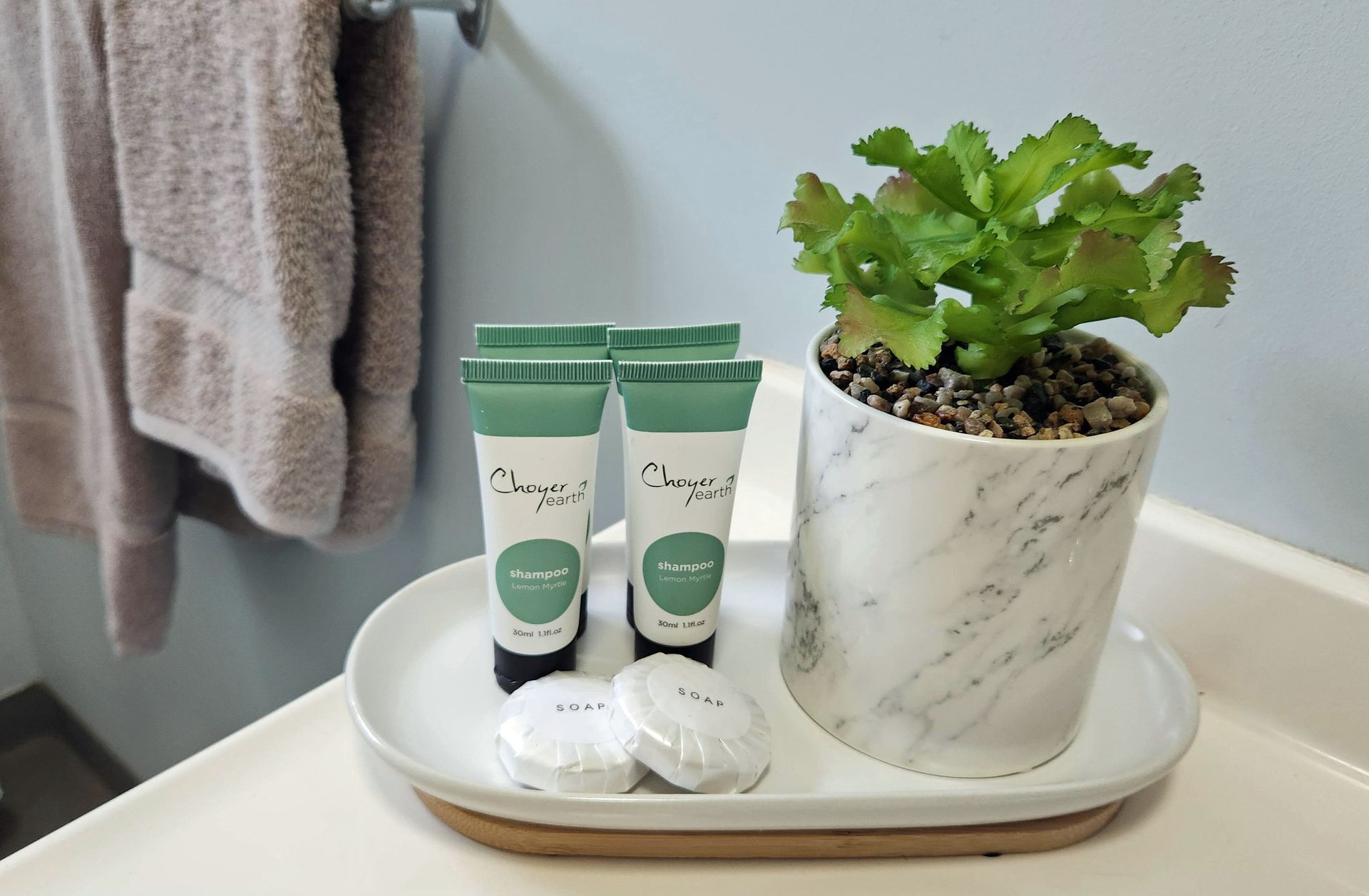 Skincare tubes and soap on a white tray beside a potted plant in a bathroom