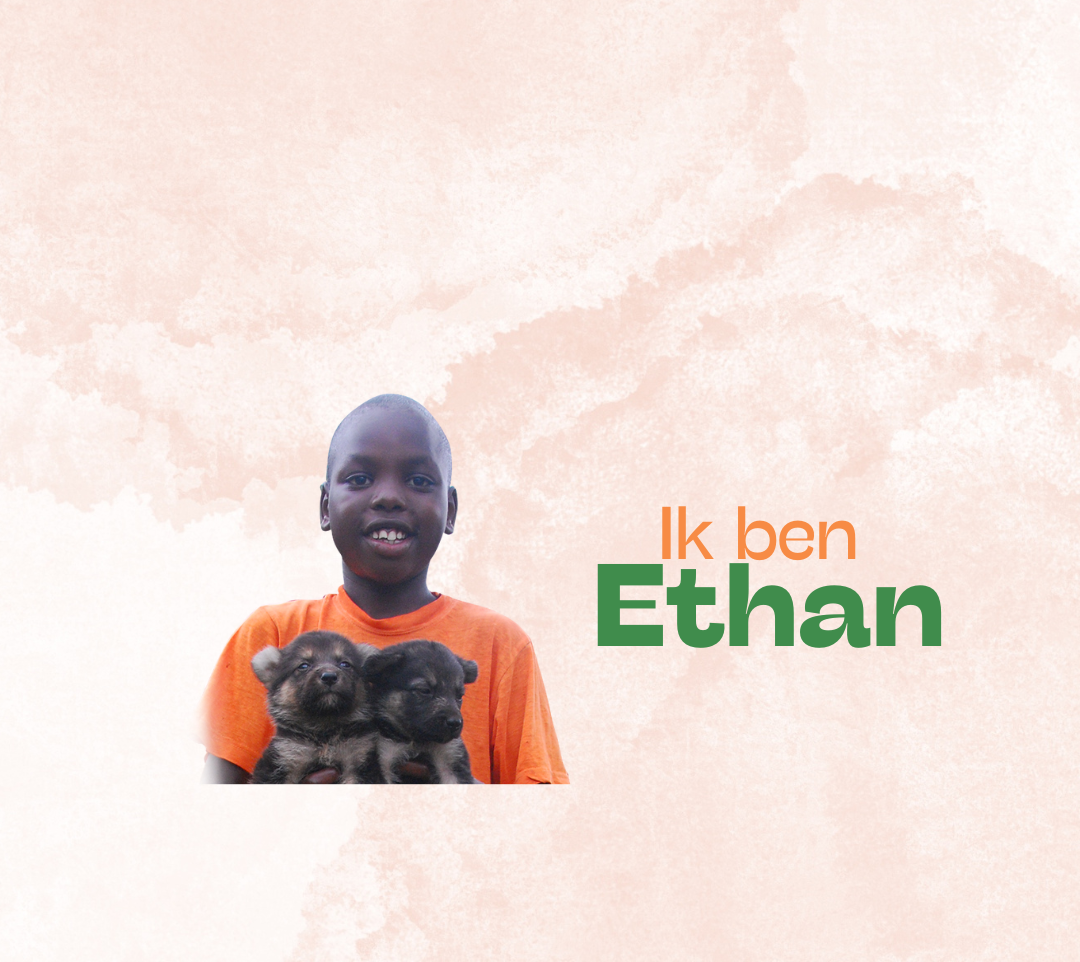 Jongen met twee puppy's; tekst