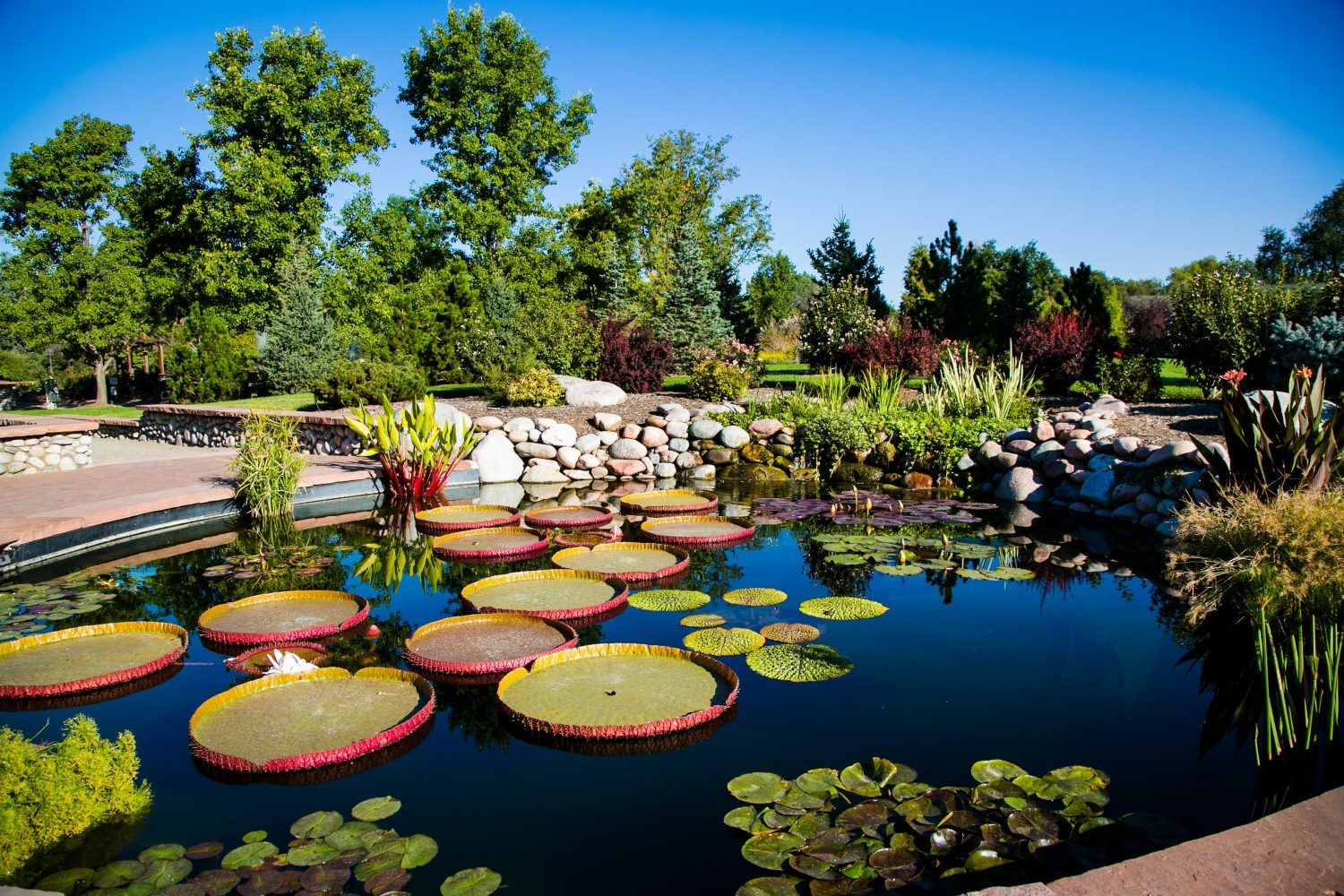 Denver Botanic Gardens Attraction Denver Botanic Gardens