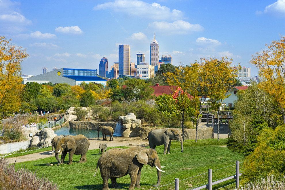 Denver Zoo Denver Zoo Image