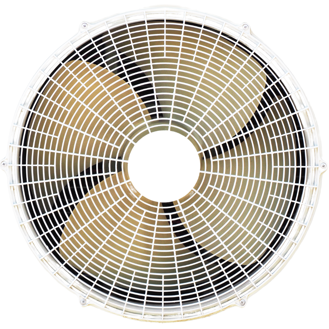A close up of a fan on a white background.