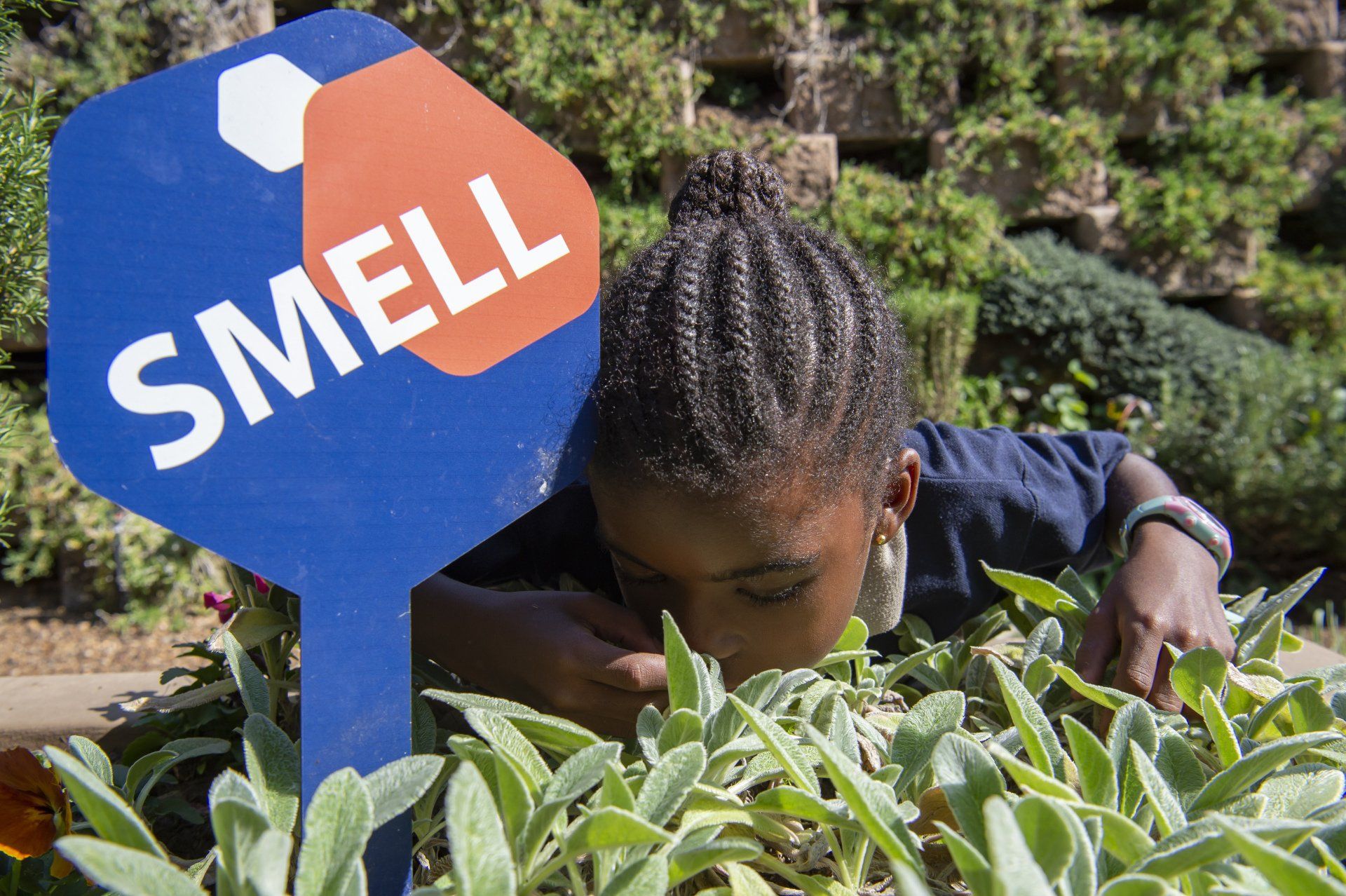 Girl smelling plants in a garden, near a blue and orange