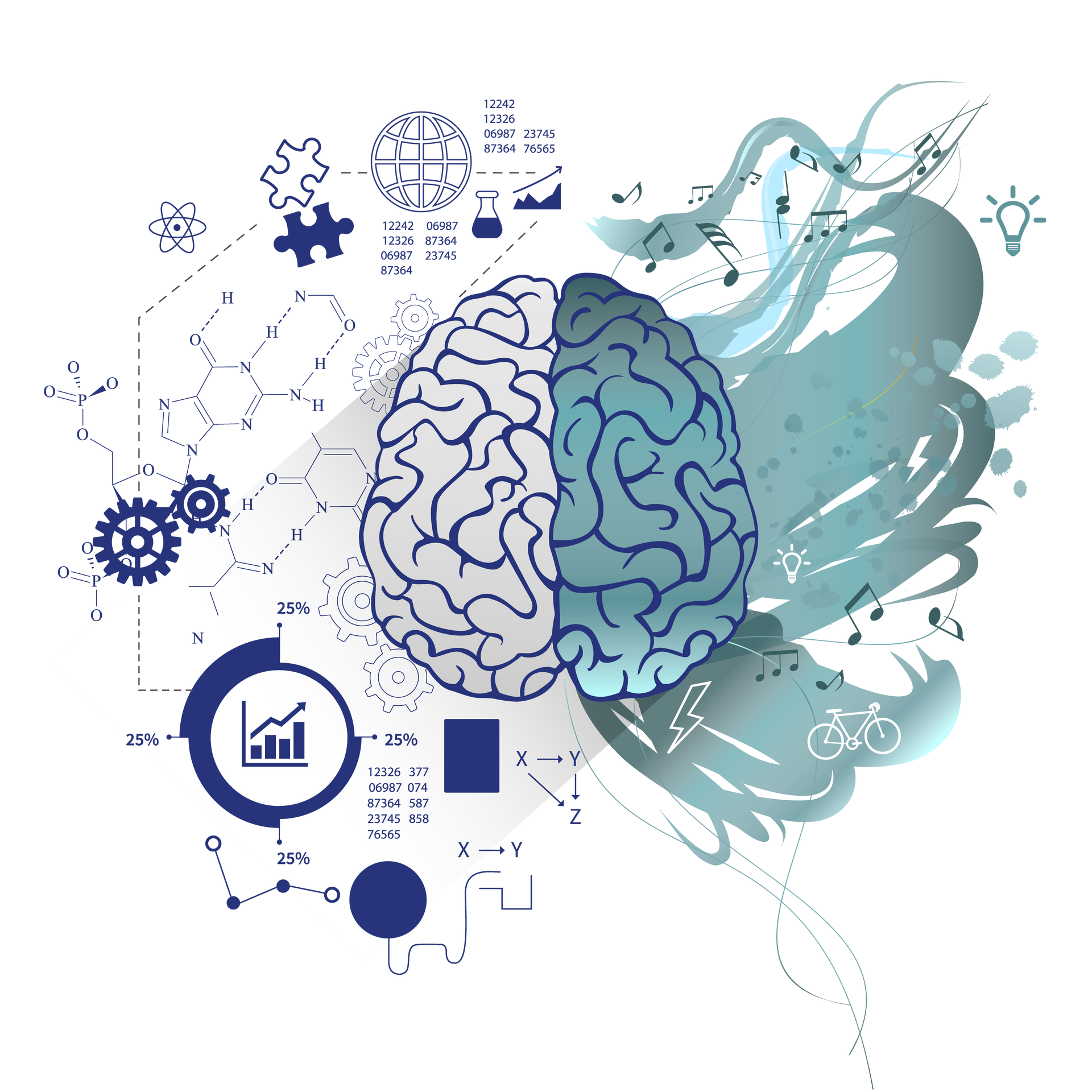 Brain illustration split, one side with analytical diagrams, the other side with creative swirls.