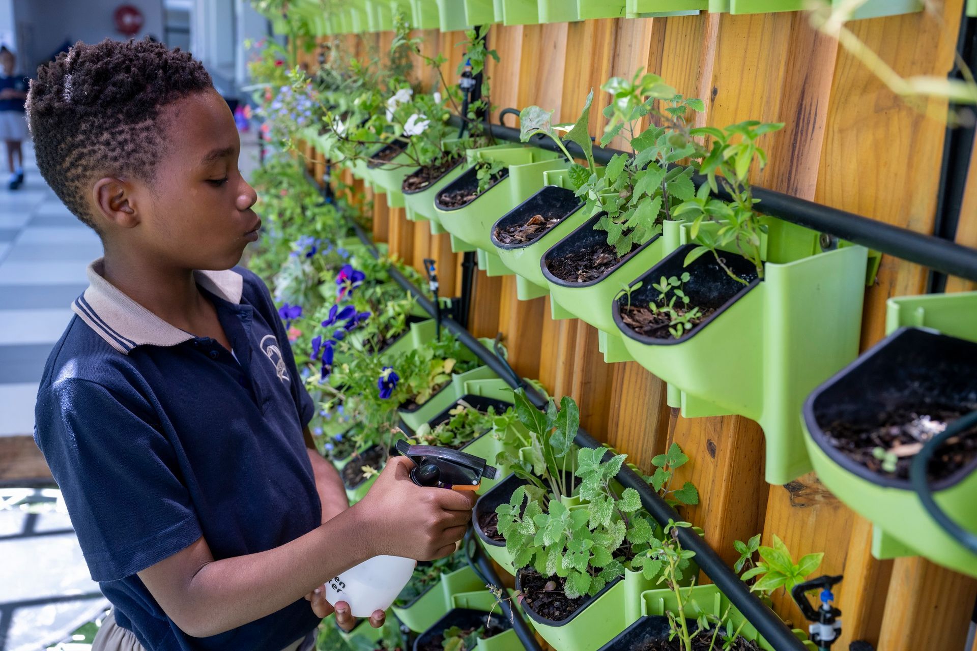 Boy in school uniform sprays plants in a vertical garden, indoors.