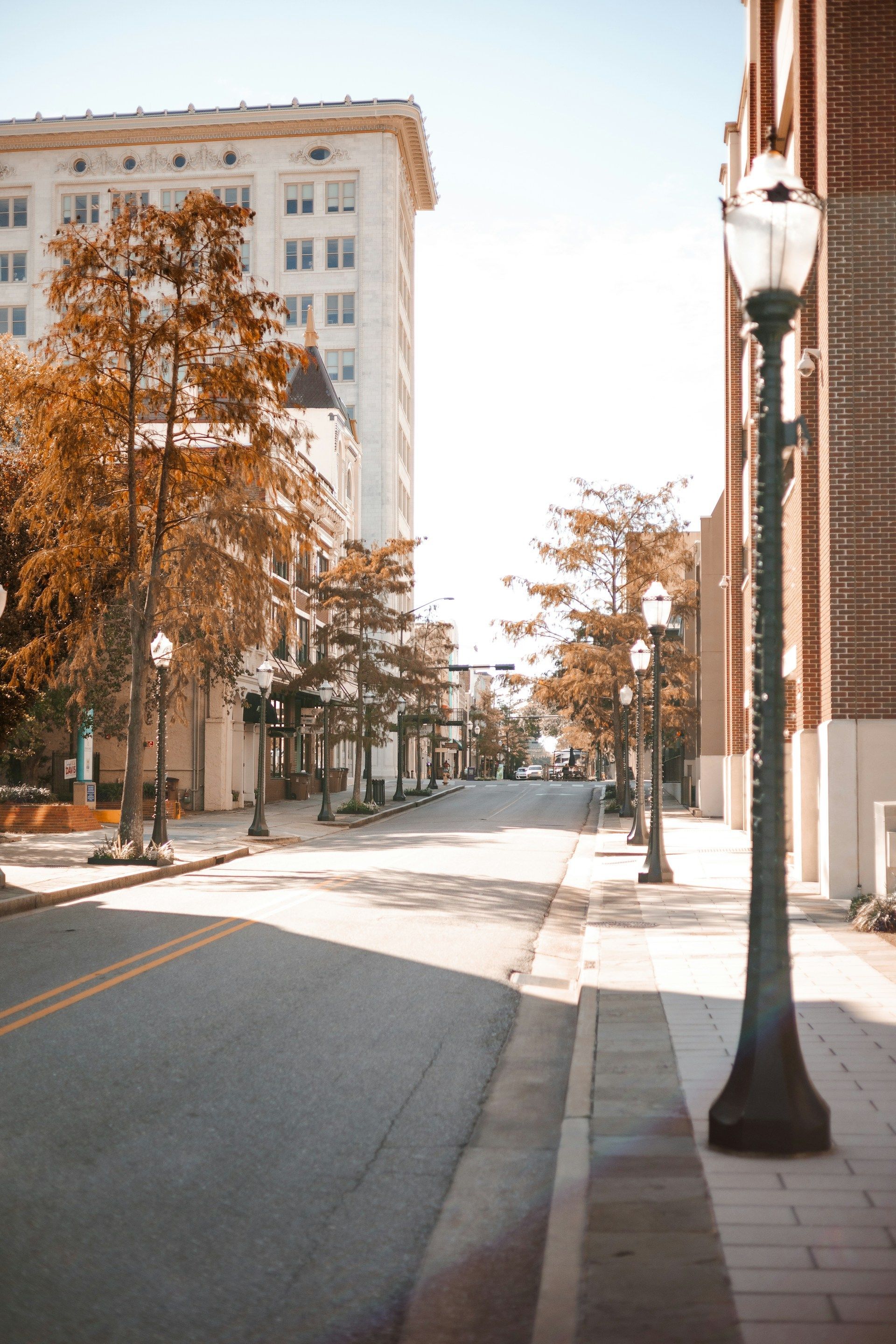 Empty sunlit city street lined with autumn trees, brick buildings, and a lamppost