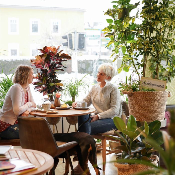 zwei Frauen sitzen an einem Tisch mit einem Hund neben ihnen .