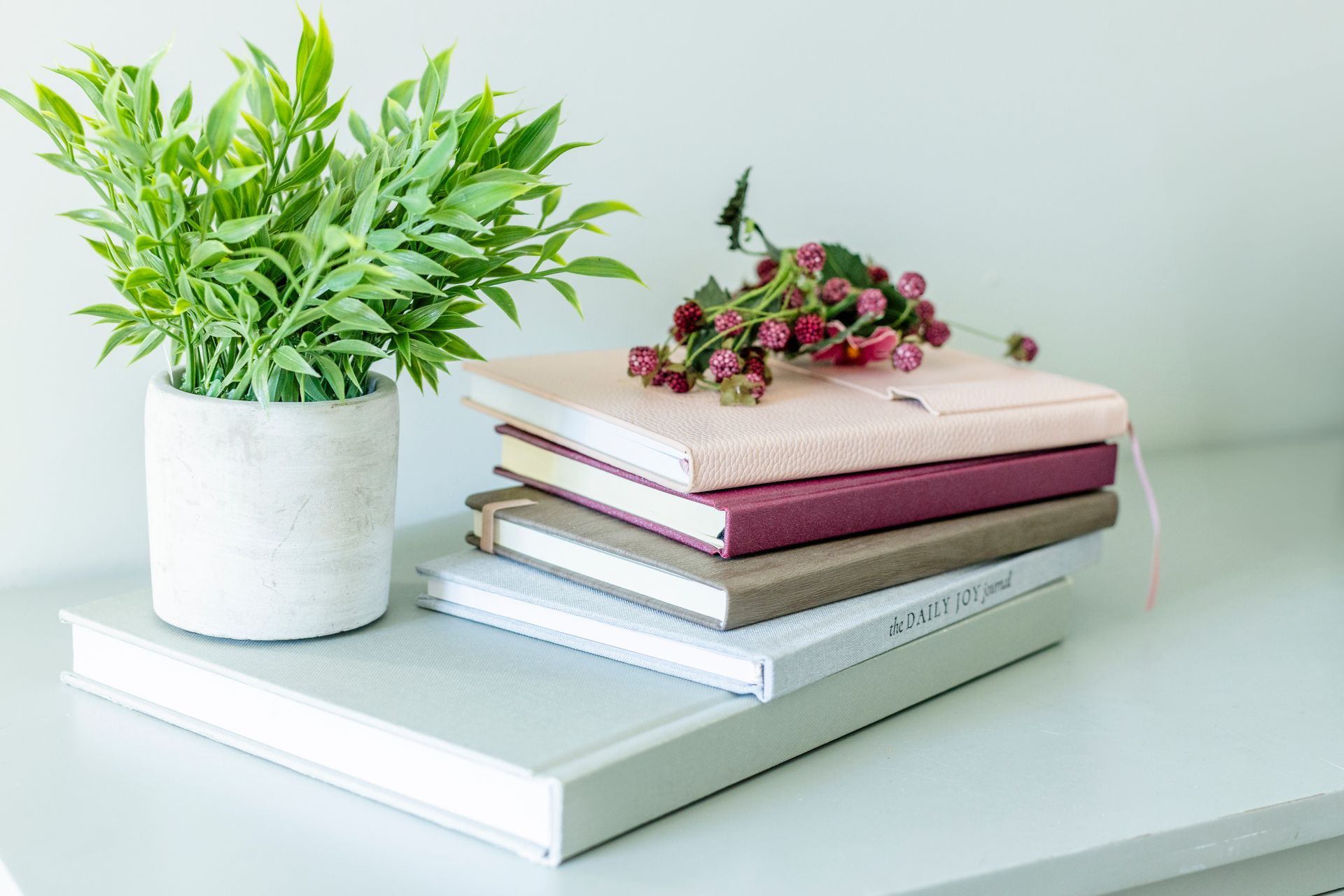 A stack of books and a potted plant on a table.