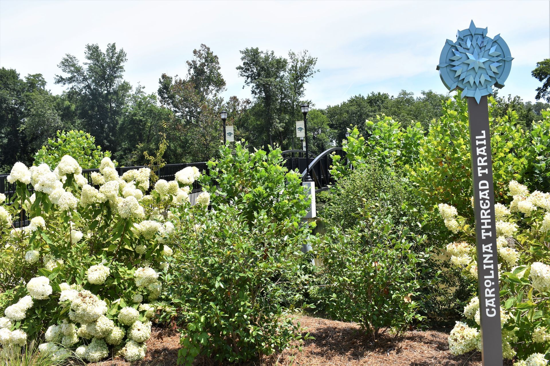 Scenic view of the Carolina Thread Trail in Cramerton, NC, showcasing outdoor recreation near Charlotte's western suburbs.