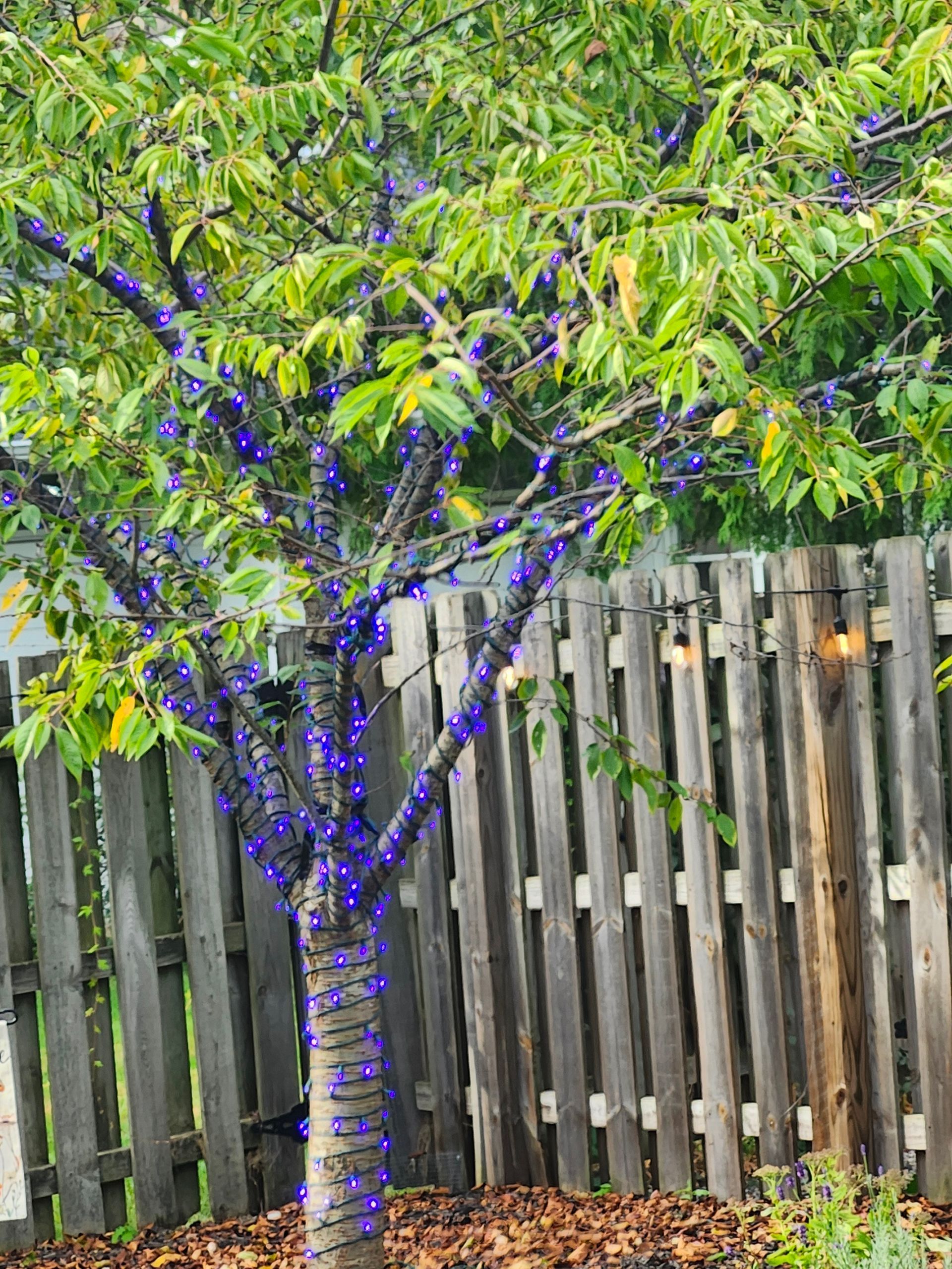 halloween lighting installation in greater grand rapids