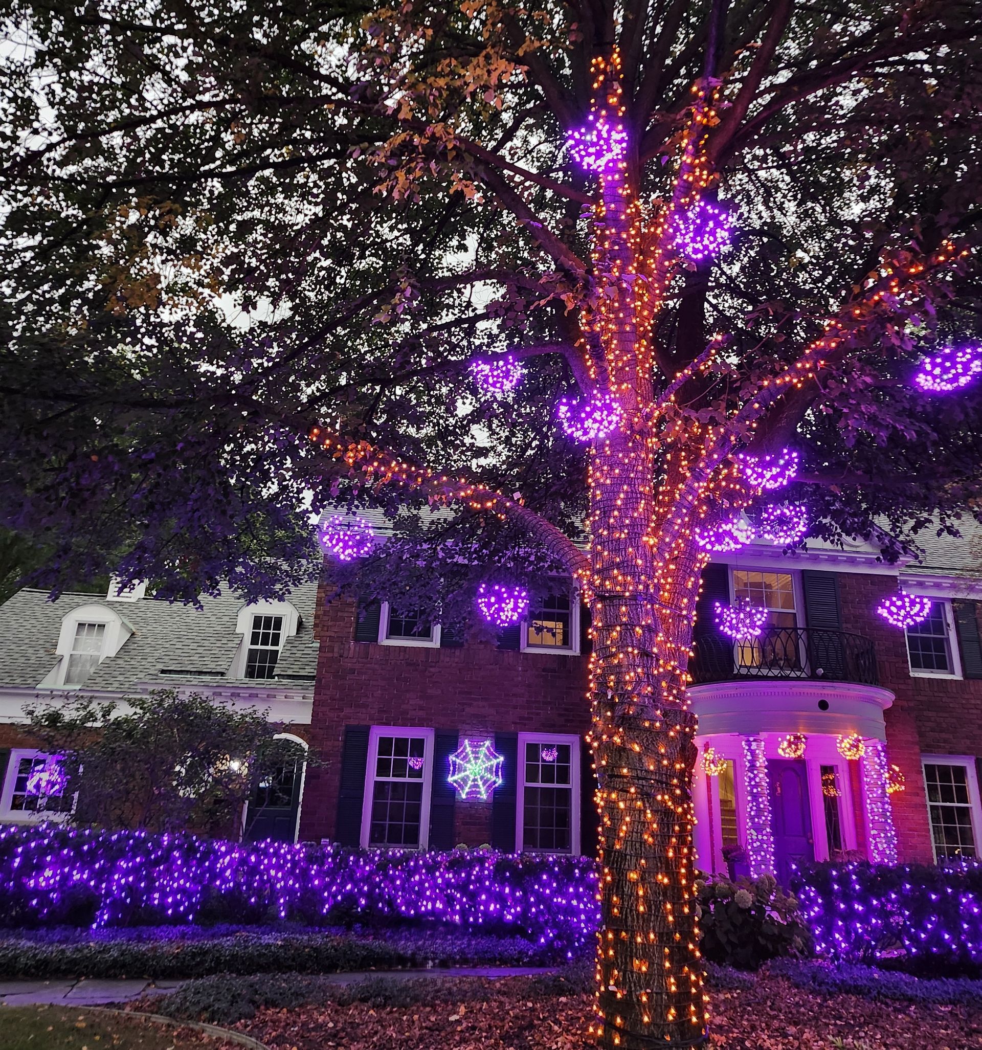 halloween lighting installation in greater grand rapids