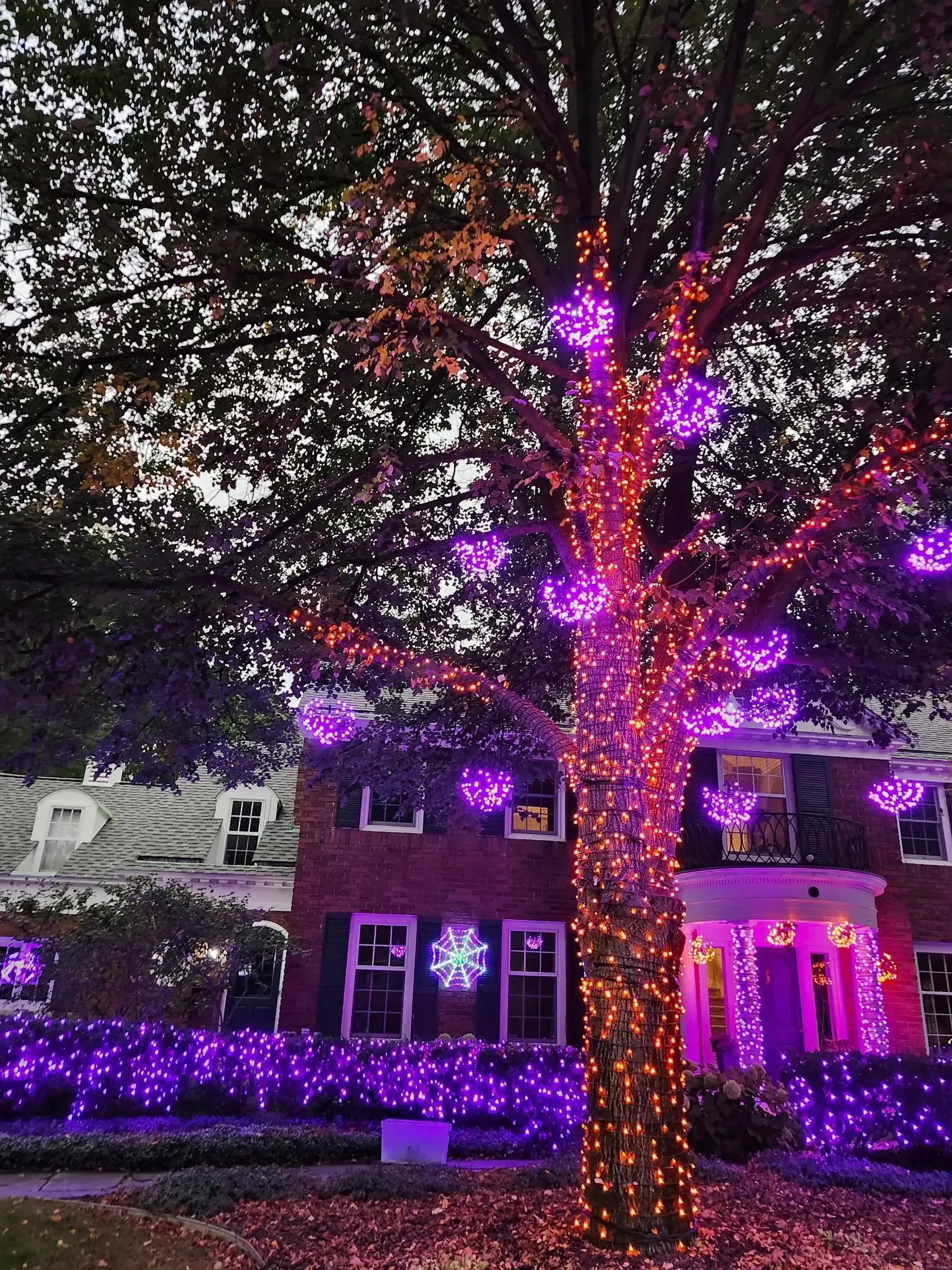 Orange LED Lights with Purple Twinkling Shimmering Spheres