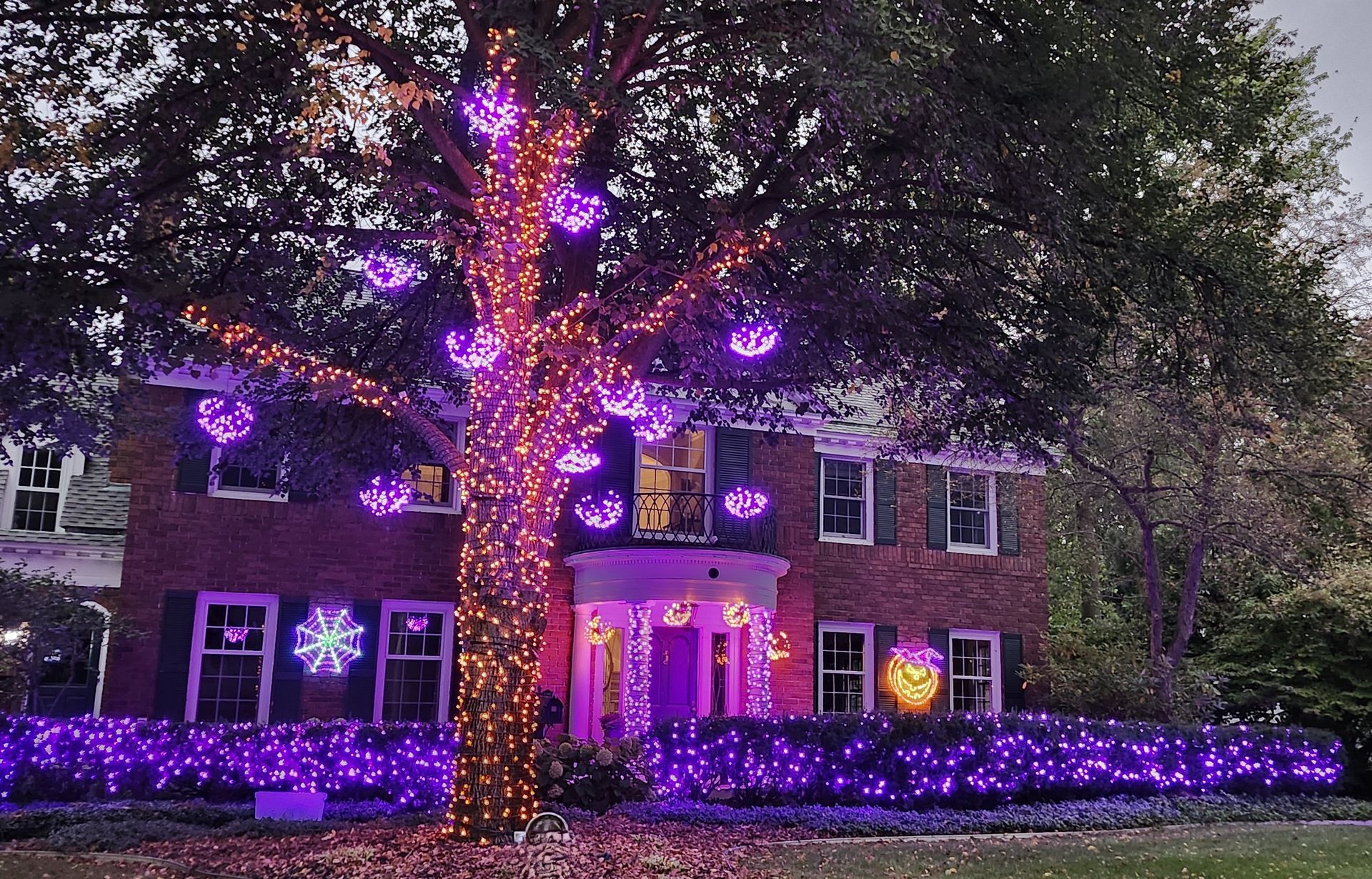 House and trees covered in purple holiday lights at dusk, with glowing windows and lit landscaping.
