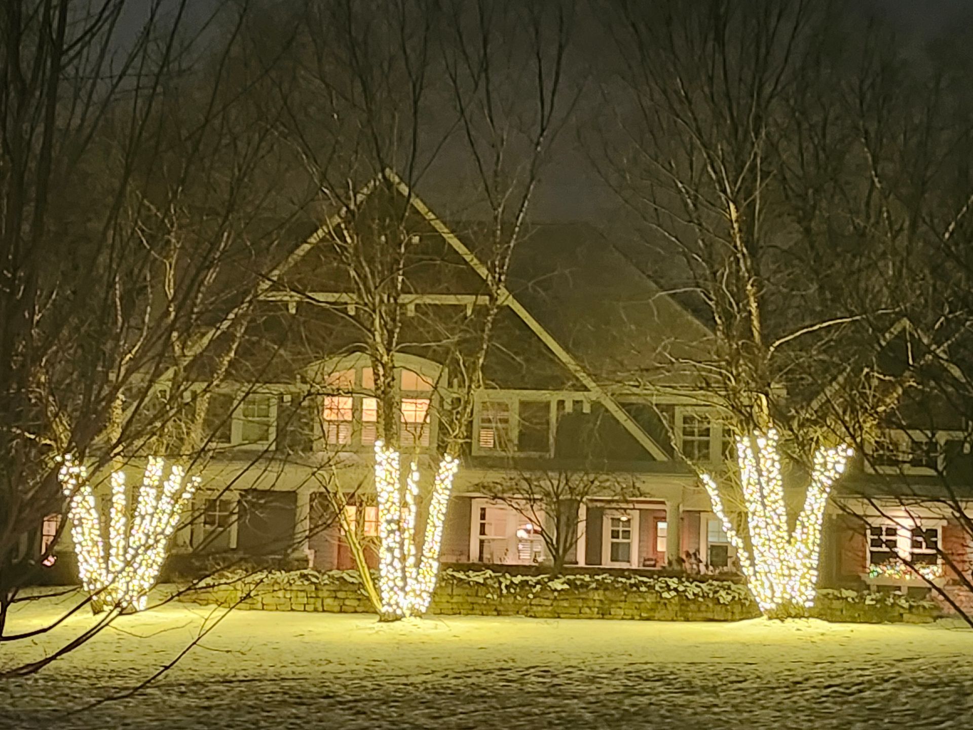 Tree wrapped in purple string lights in front of a wooden fence at night