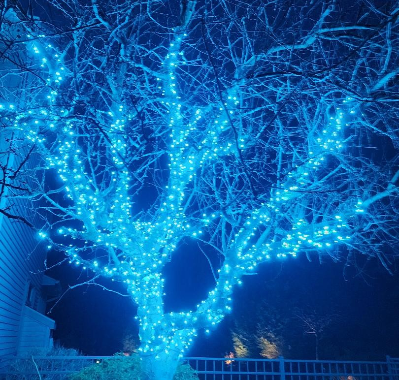 christmas lighting installation in greater grand rapids