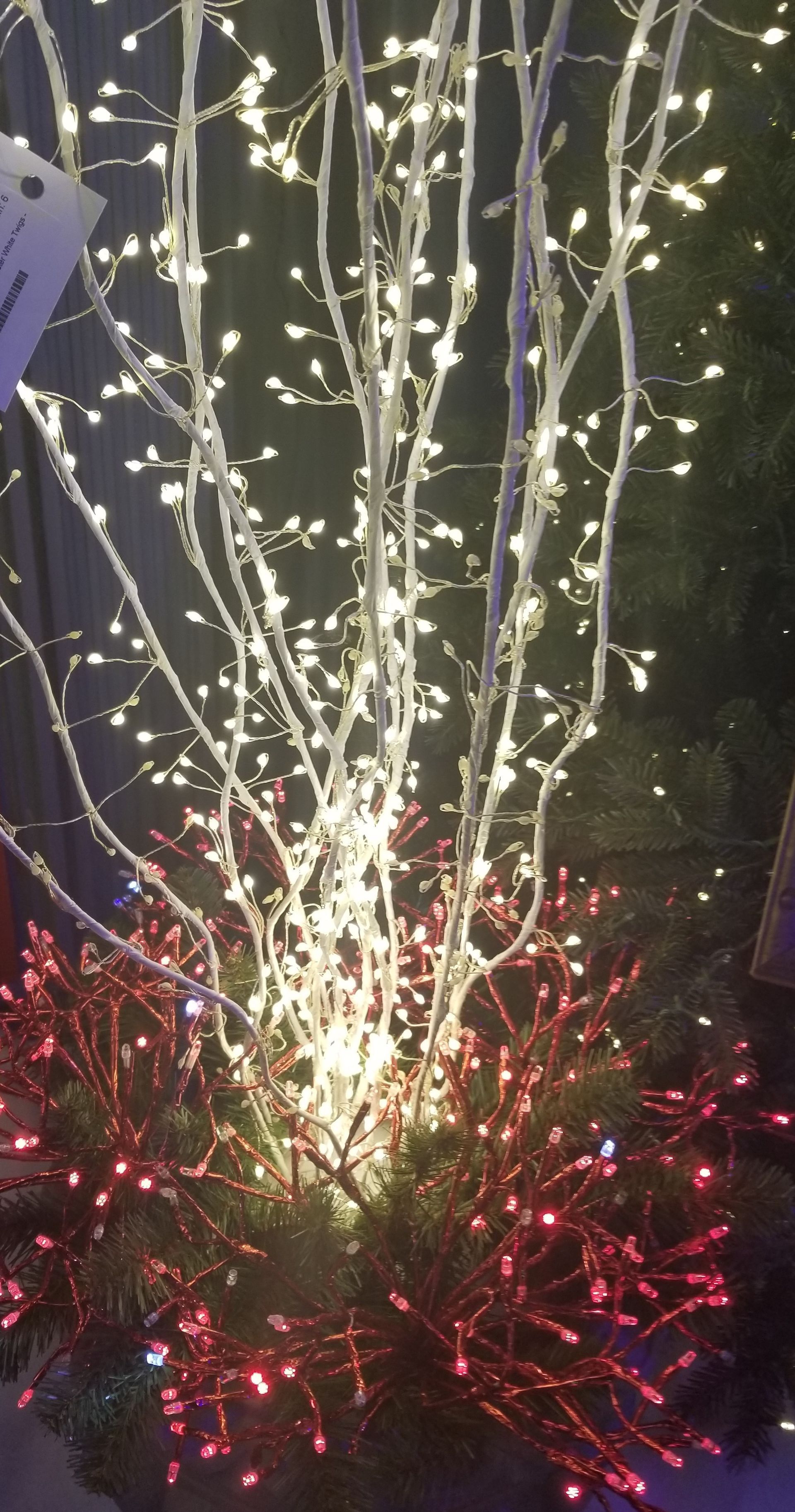 White and red decorative lights on tall branches against a dark night background