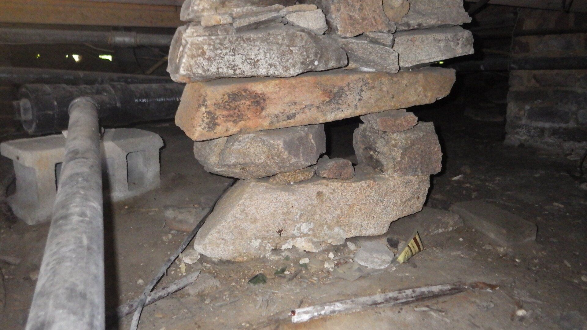 Wall Mold Inspection