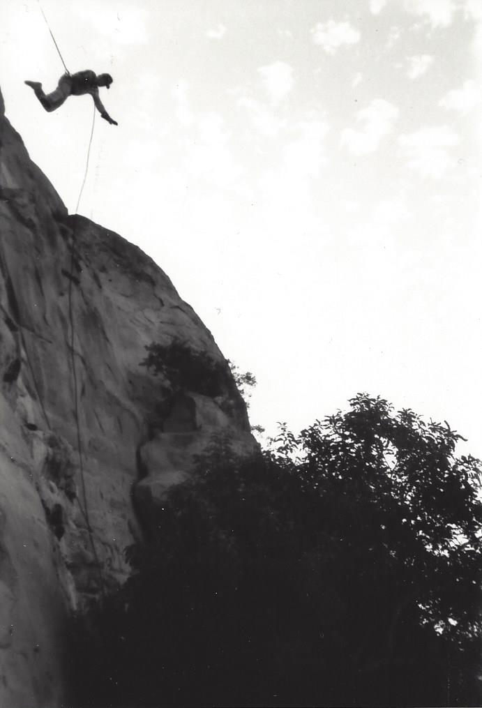 A climber rappels down a steep, rocky cliff face next to a leafy tree under a bright, cloudy sky.