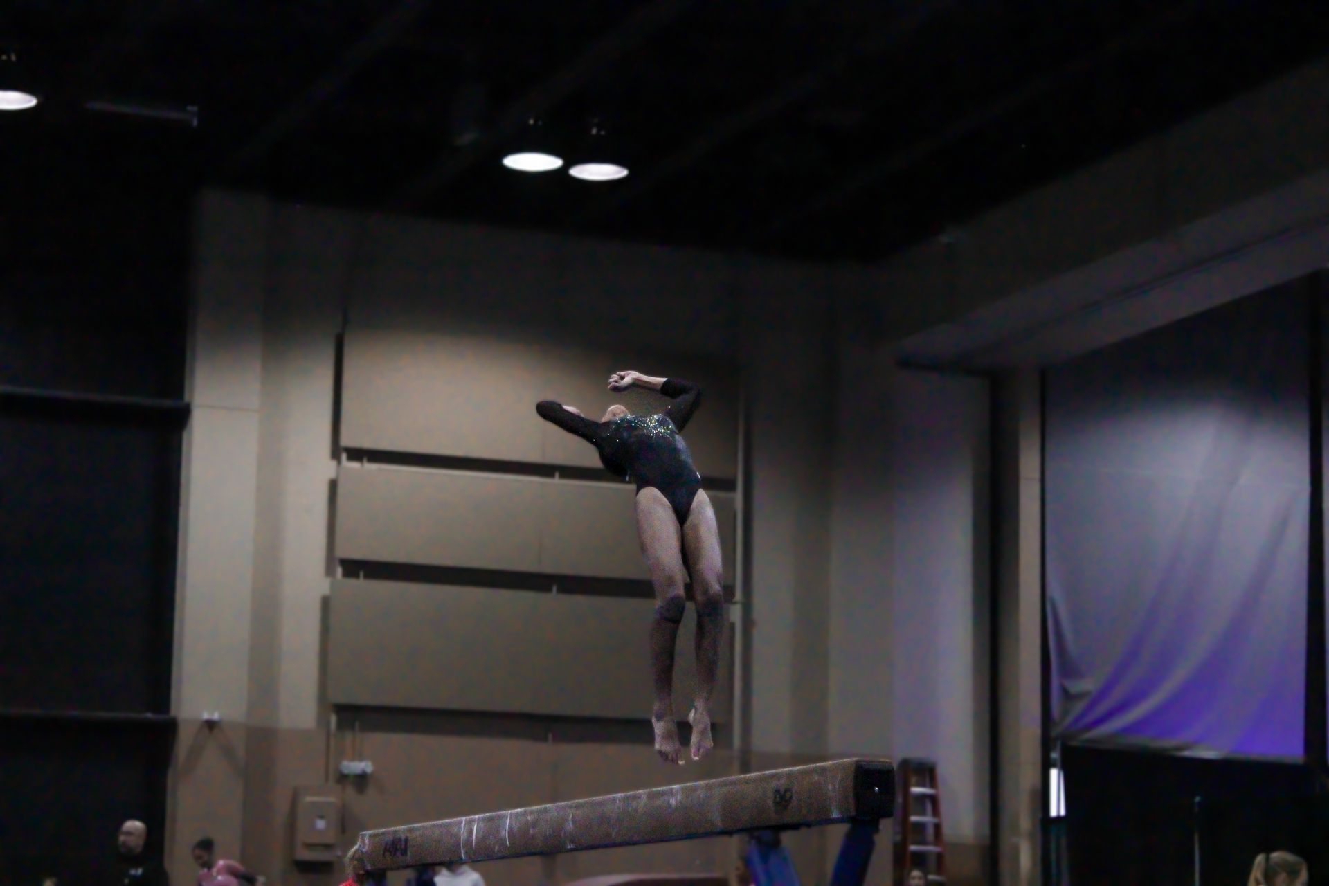 Diver poised on a springboard indoors, arms outstretched above a pool platform