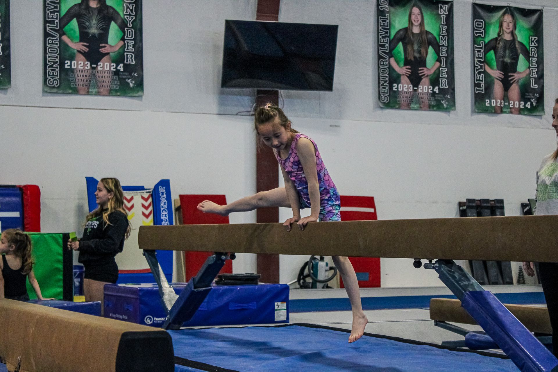 Gymnast balancing on a beam in a gym, wearing a purple leotard.
