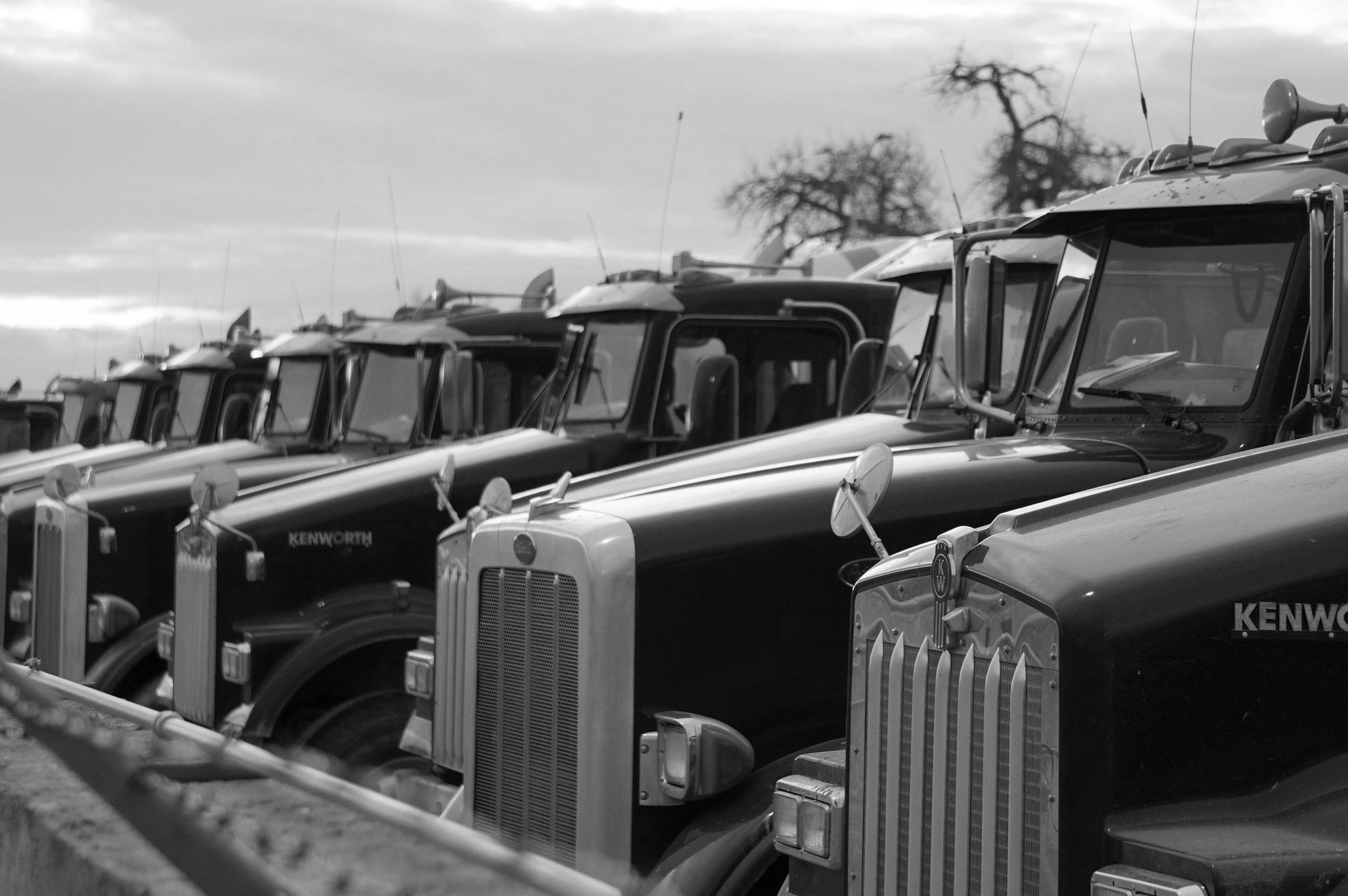 Black and white shot of a line of Kenworth semi-trucks parked outdoors, close together.