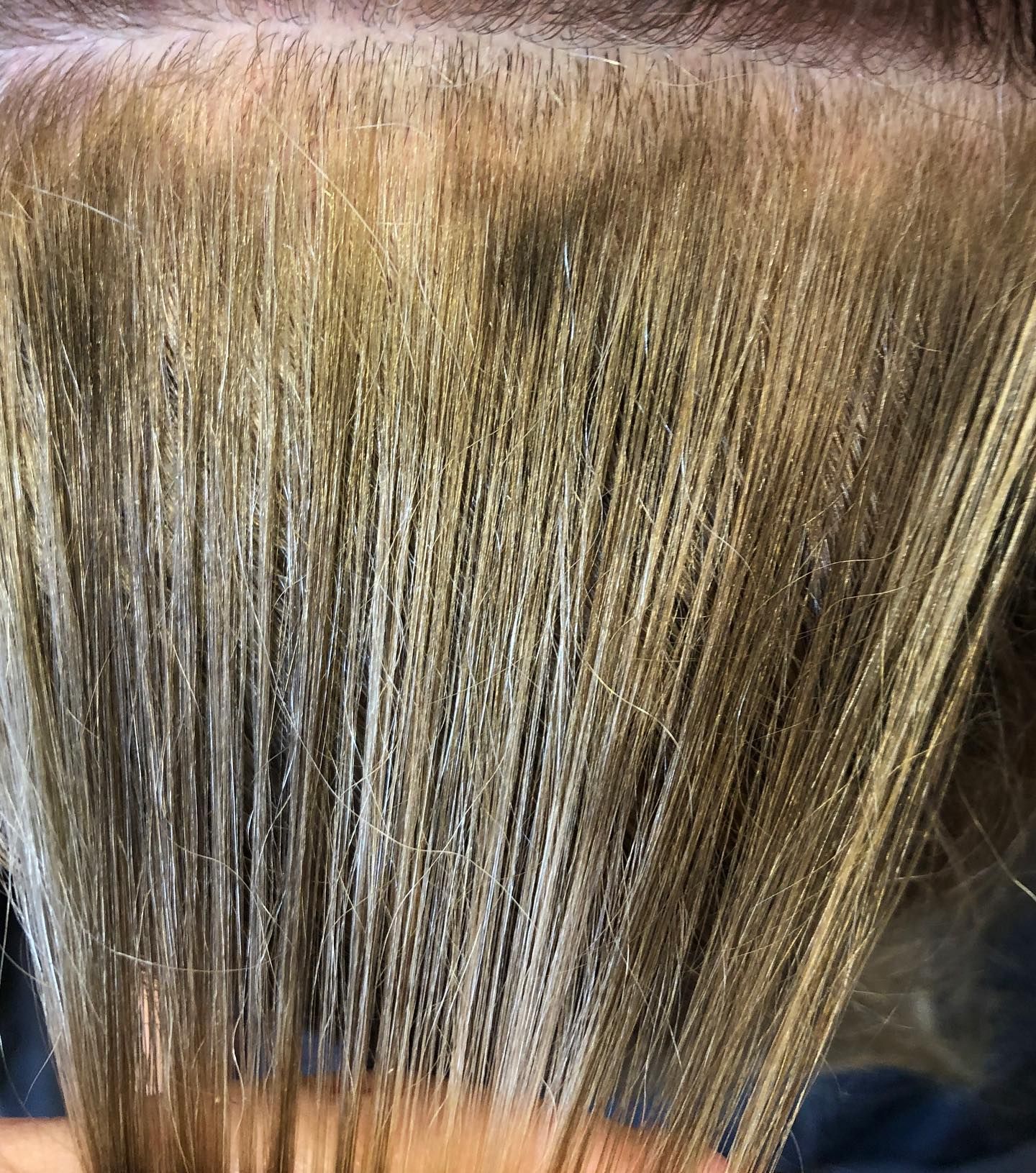 Close-up of blonde hair strands, with a visible white granular substance.