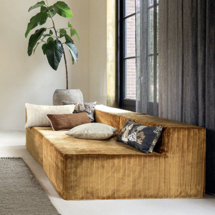 A living room with a couch and a plant